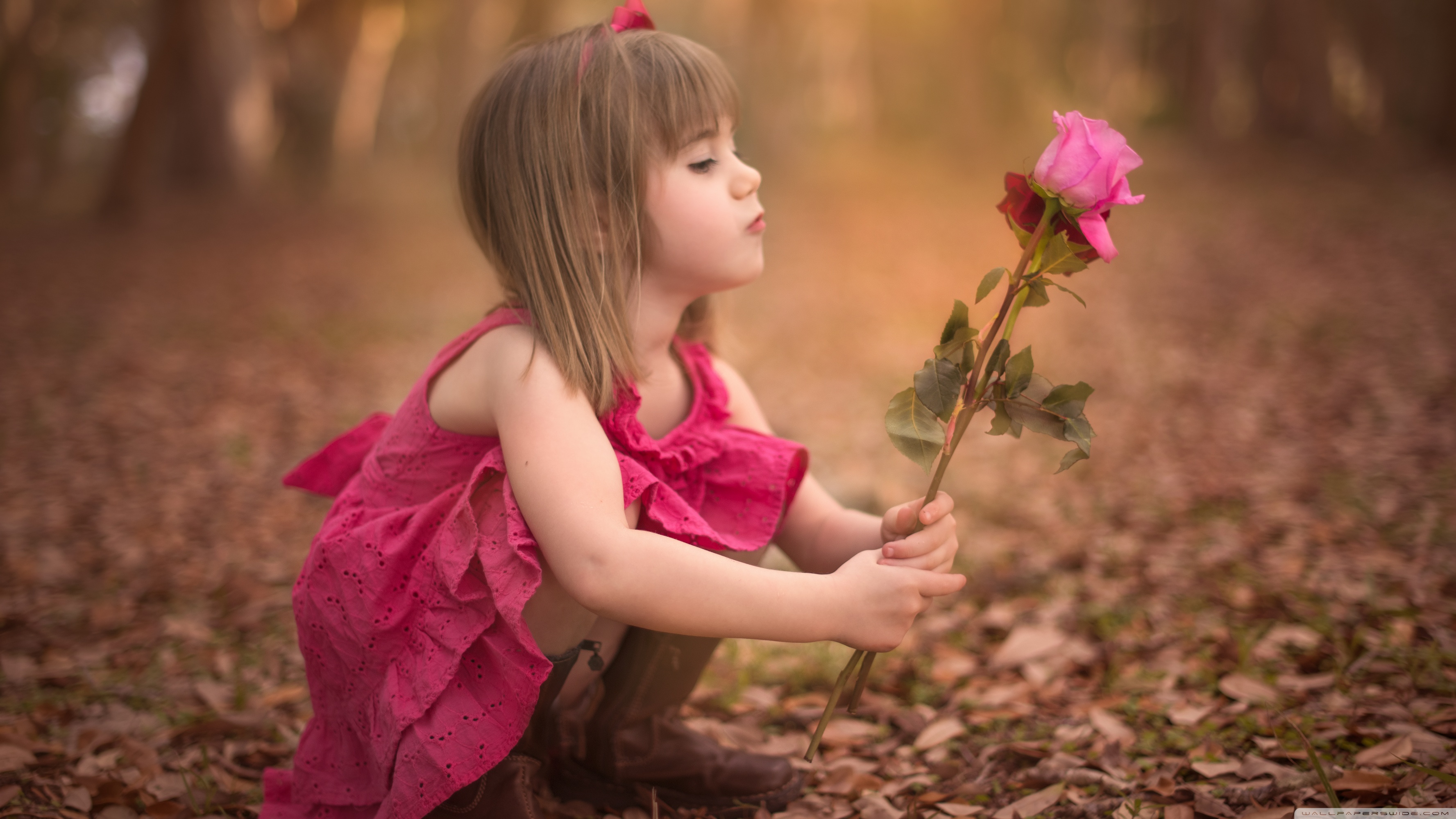 Ultra HD Desktop Background Wallpaper