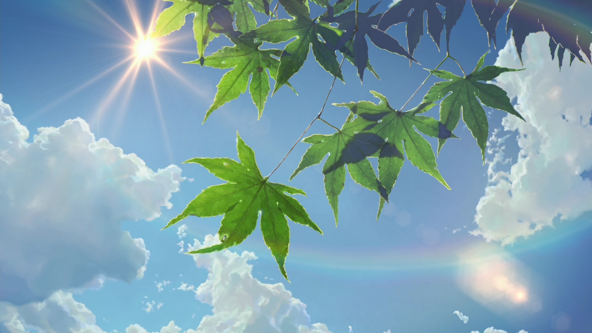 summer, sunlight, sun rays, clouds