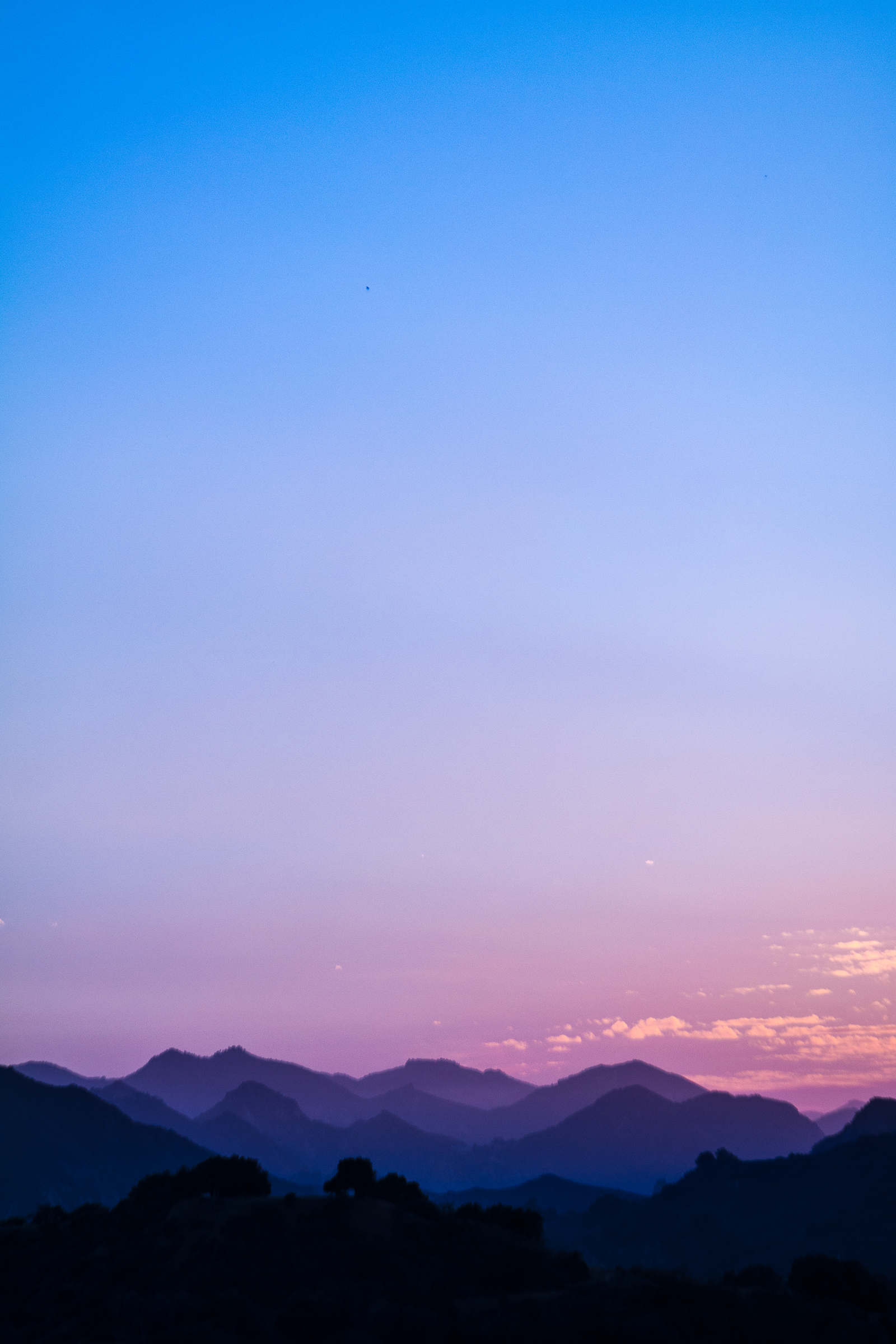 Summer Solstice Gifts From The Hills