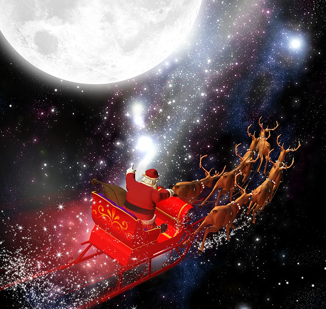 Photos Deer Christmas sledge Santa