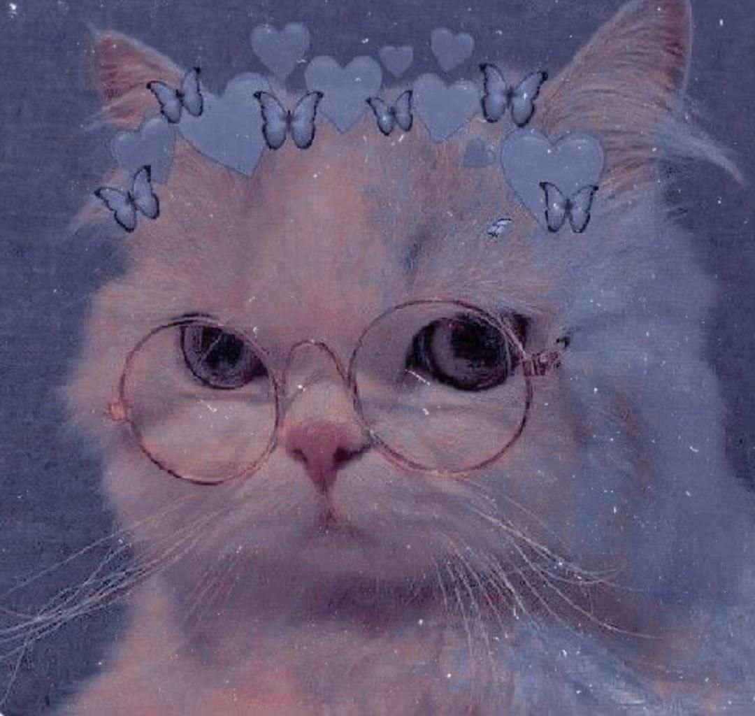 Sing if you will eat it. Beautiful cat, Cute cat, Cat wallpaper