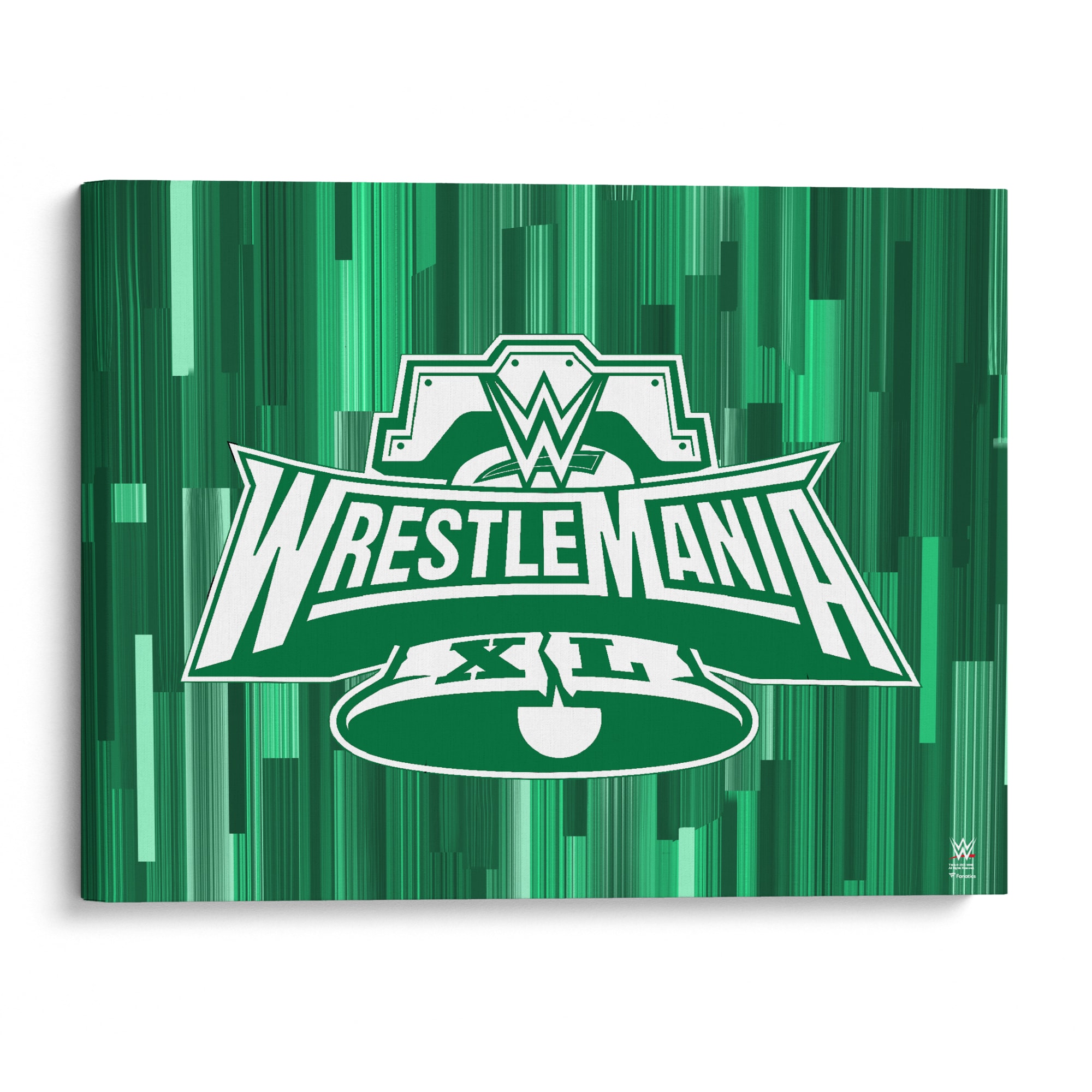 WWE WrestleMania 40 Stretched 16 x 20