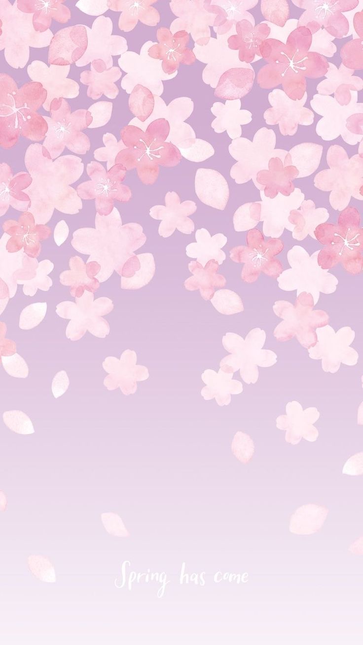 Flower phone wallpaper, Cherry blossom