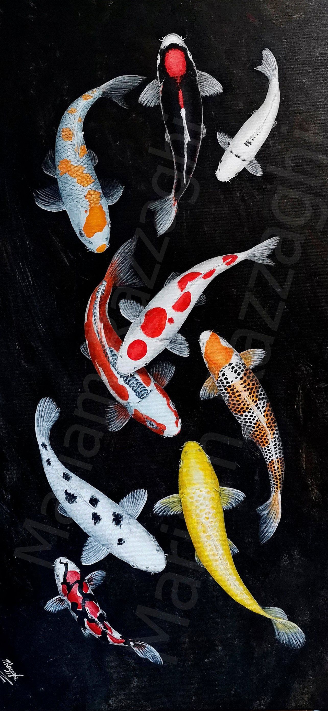 goldfish iPhone Wallpaper. Koi fish