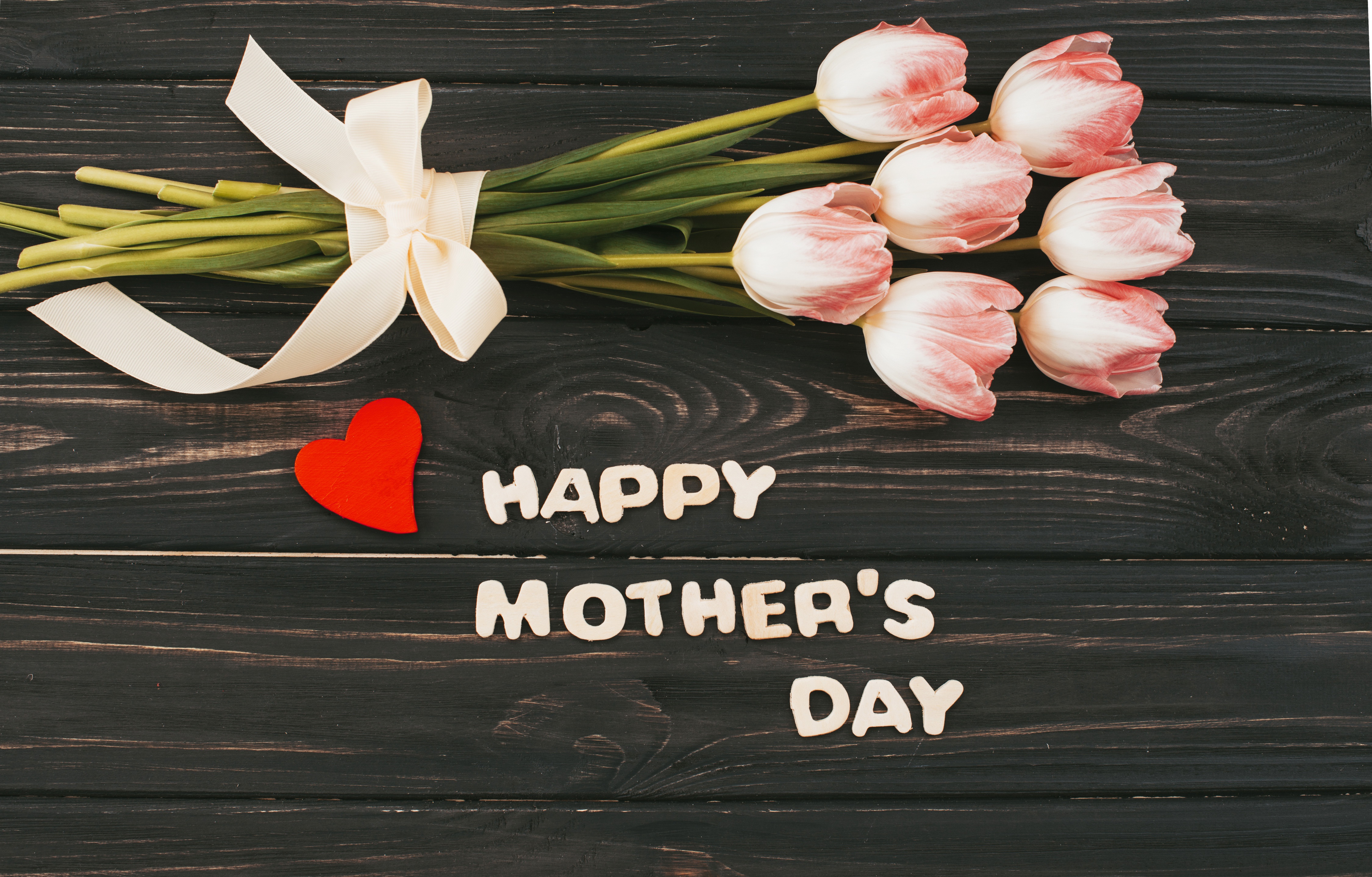 Download Tulip Flower Happy Mother's