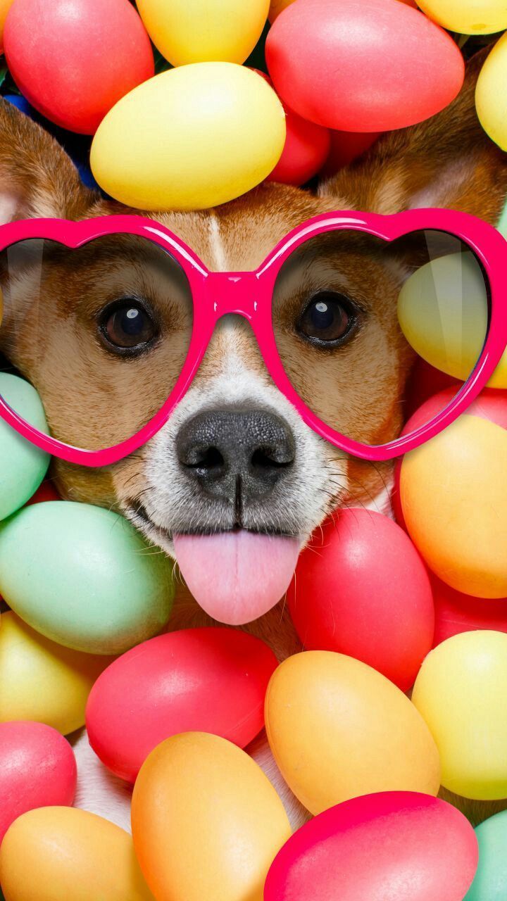 Happy easter wallpaper, Uhd wallpaper