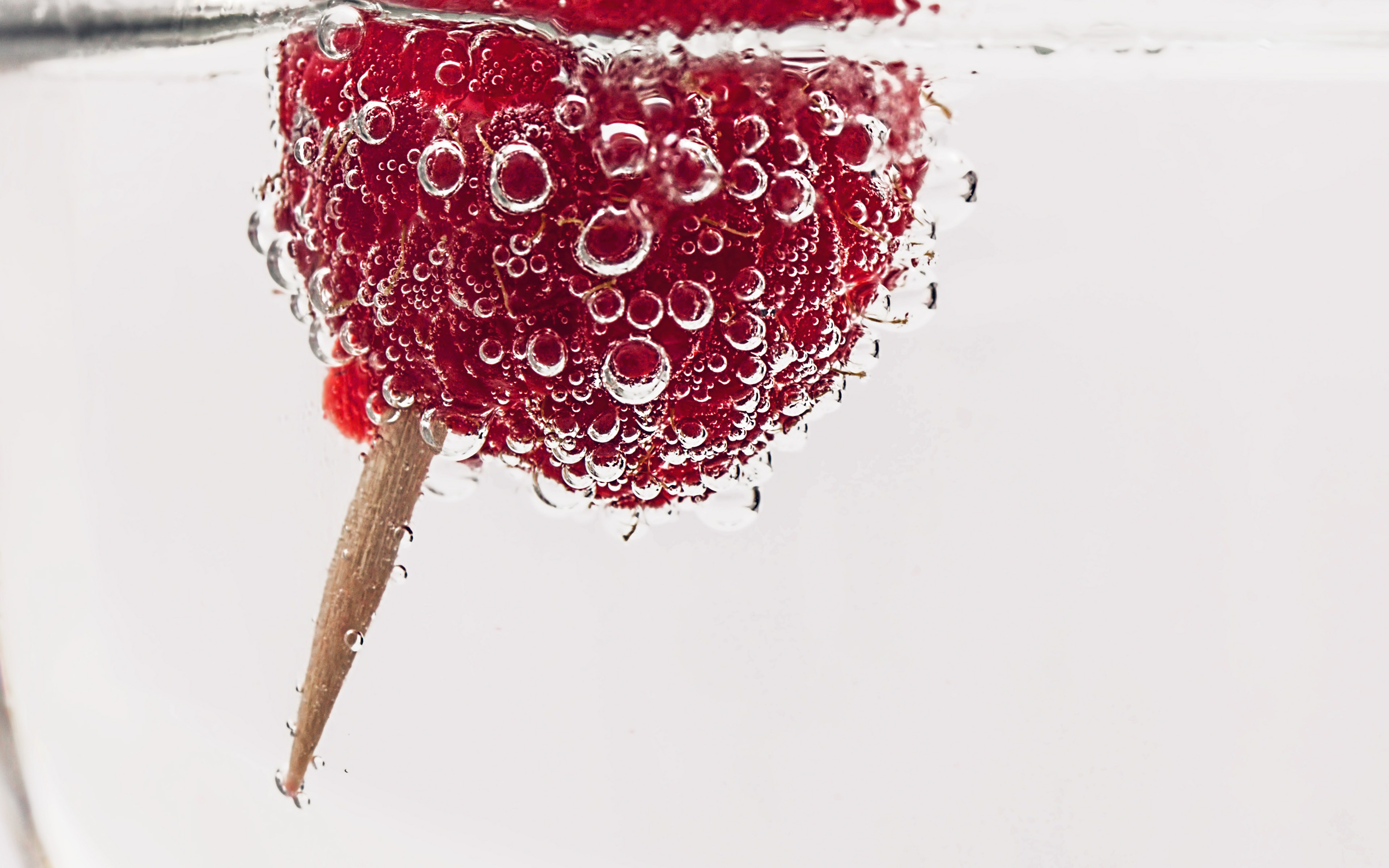 Cocktail Drink Glass Water Food