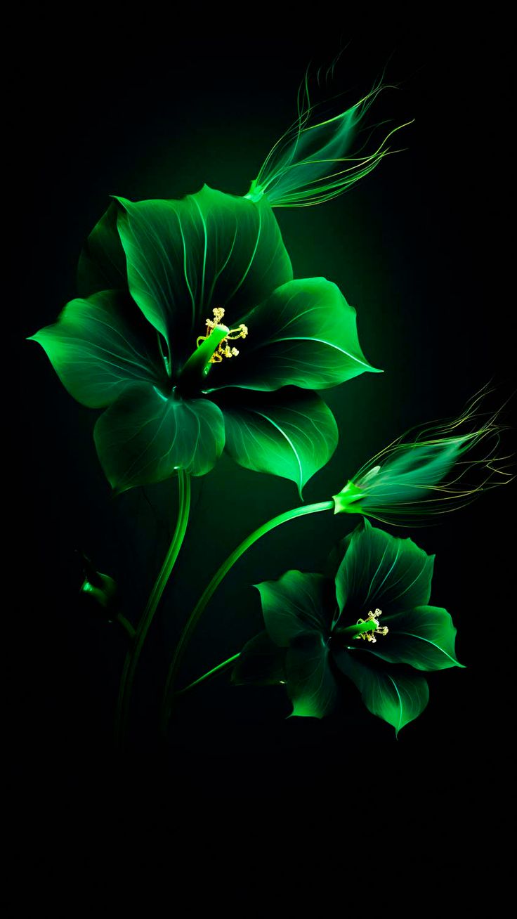 Green Flowers iPhone Wallpaper 4K