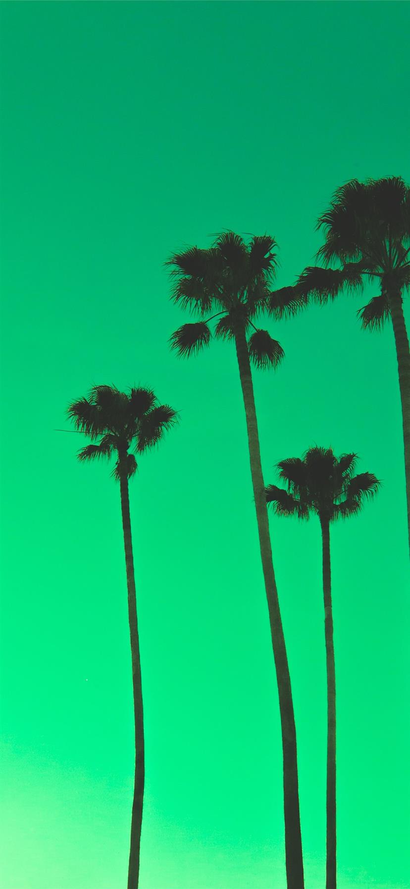 Best Green iPhone 11 HD Wallpaper