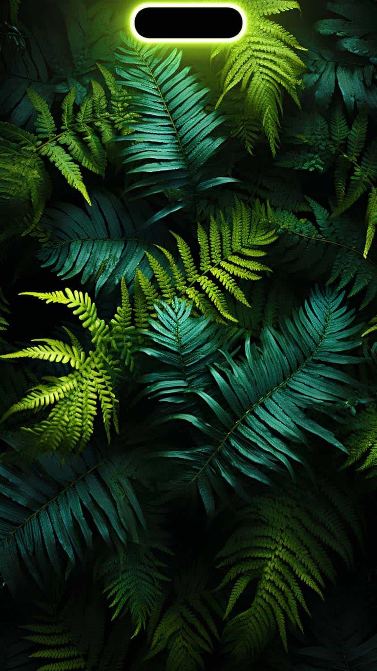 Dynamic Island Foliage iPhone Wallpaper