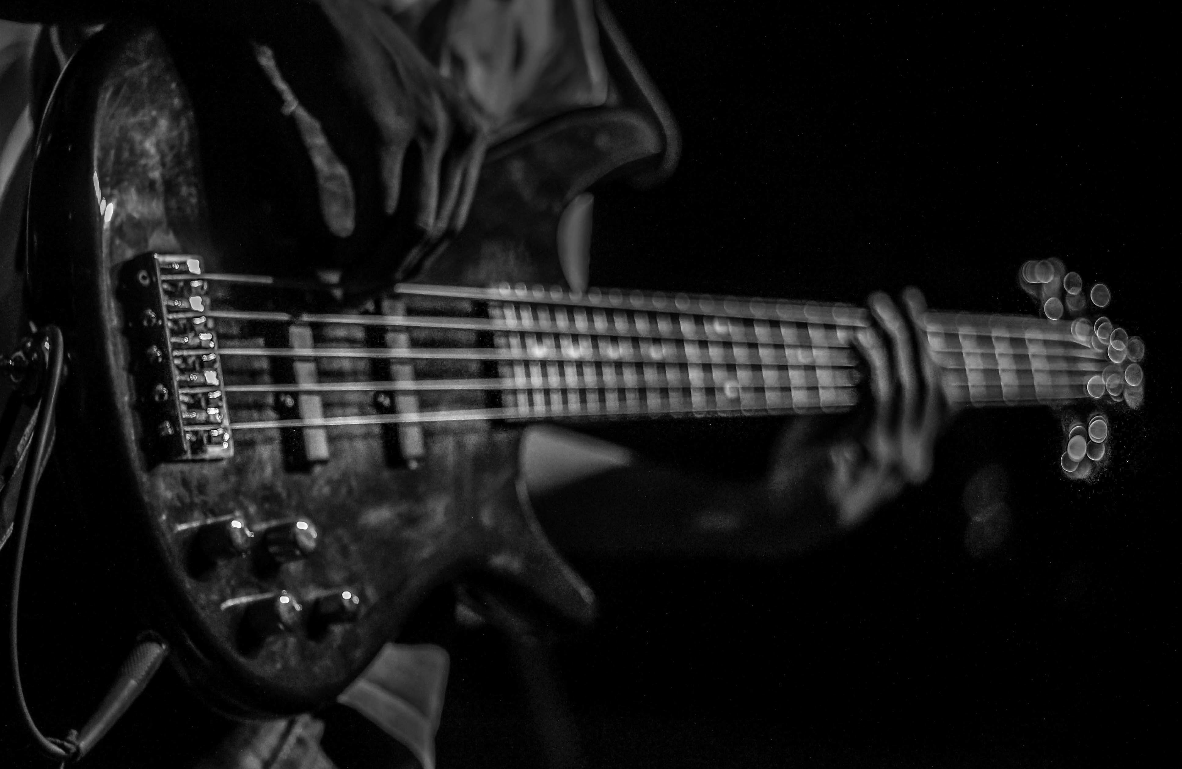 Free Image, bass guitar, guitarist