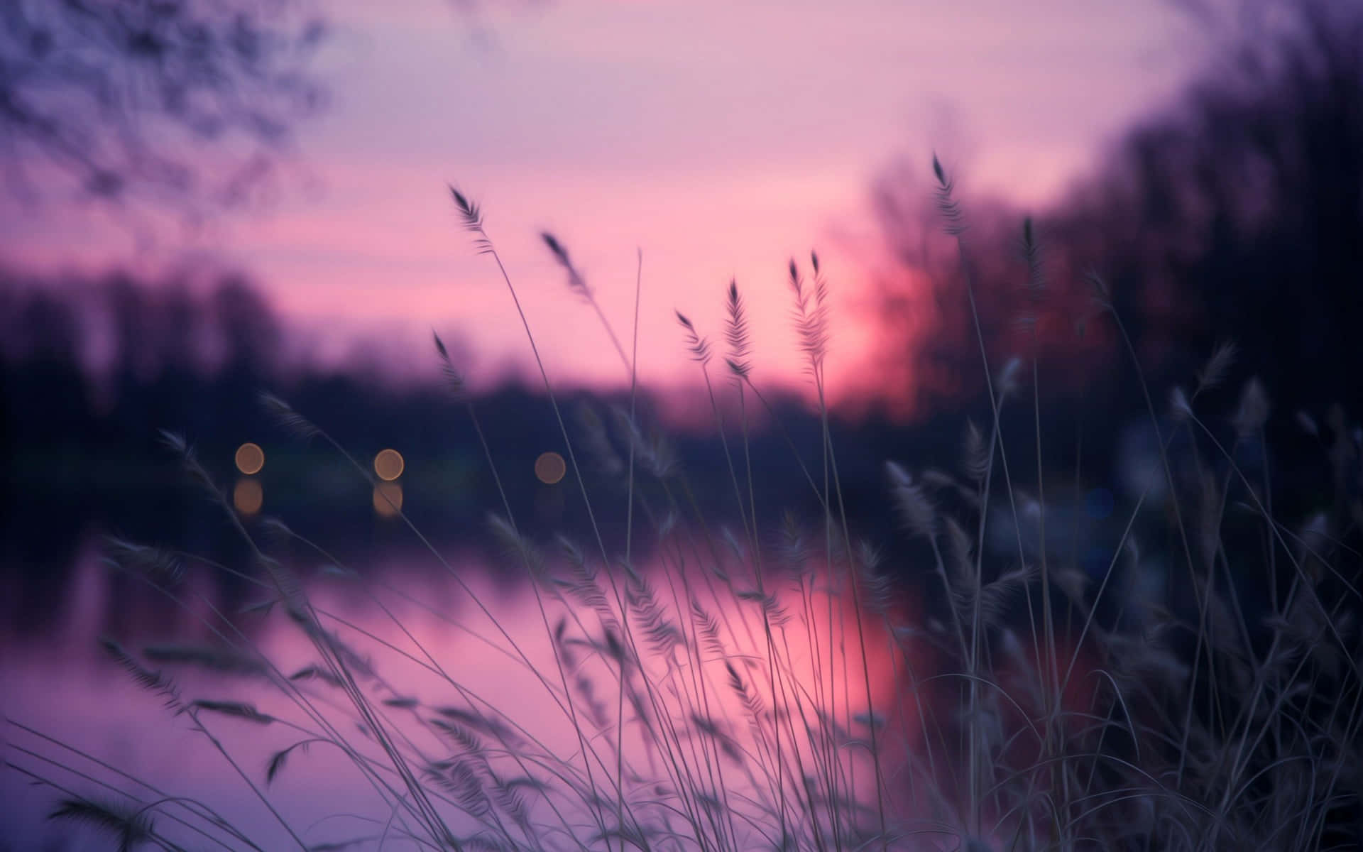 Aesthetic Nature Wallpaper