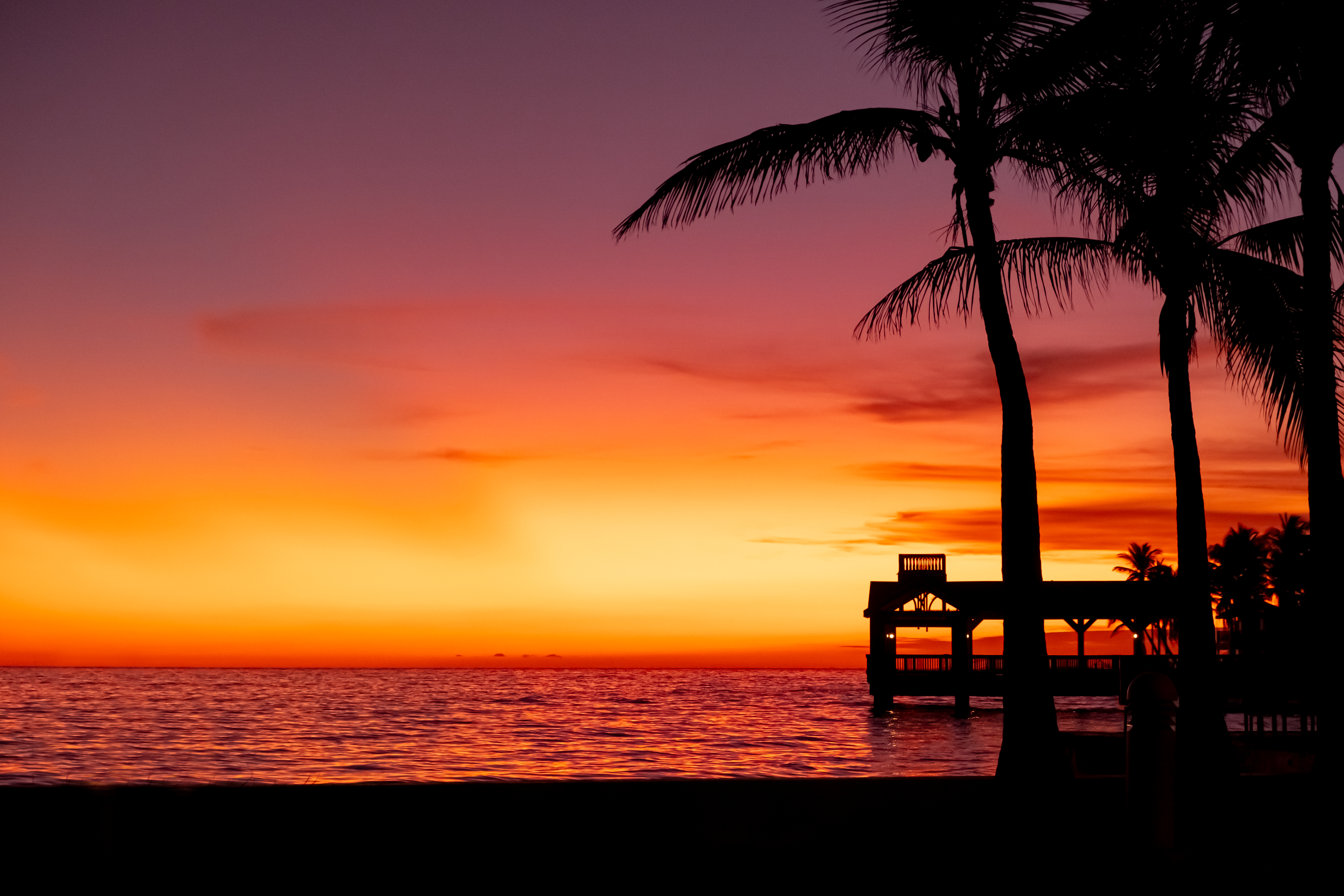 sunset, beach, palm trees, pier, dock