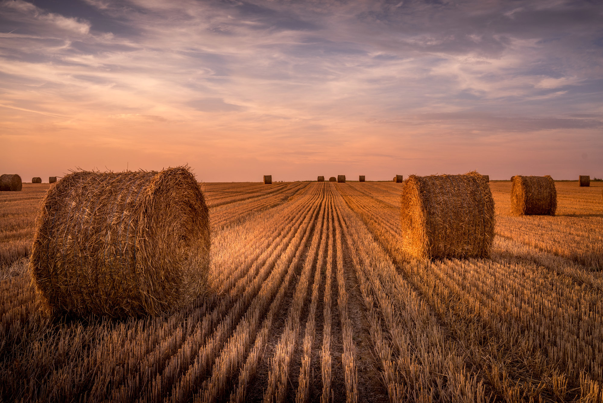 Download Horizon Summer Landscape Nature Field Haystack HD Wallpaper