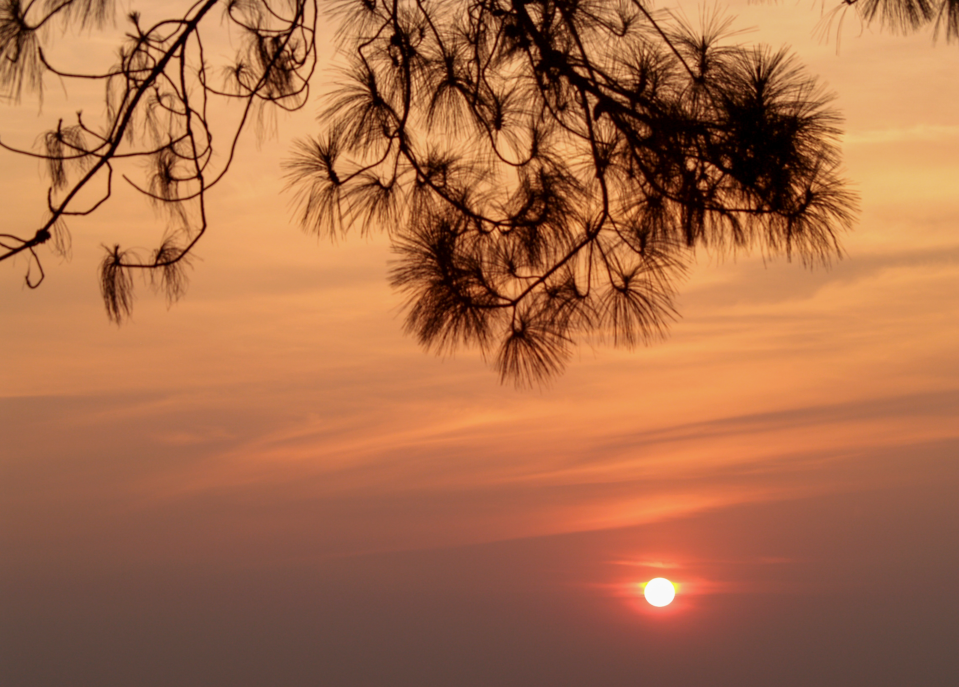 sunset, sunrise, nature, sky