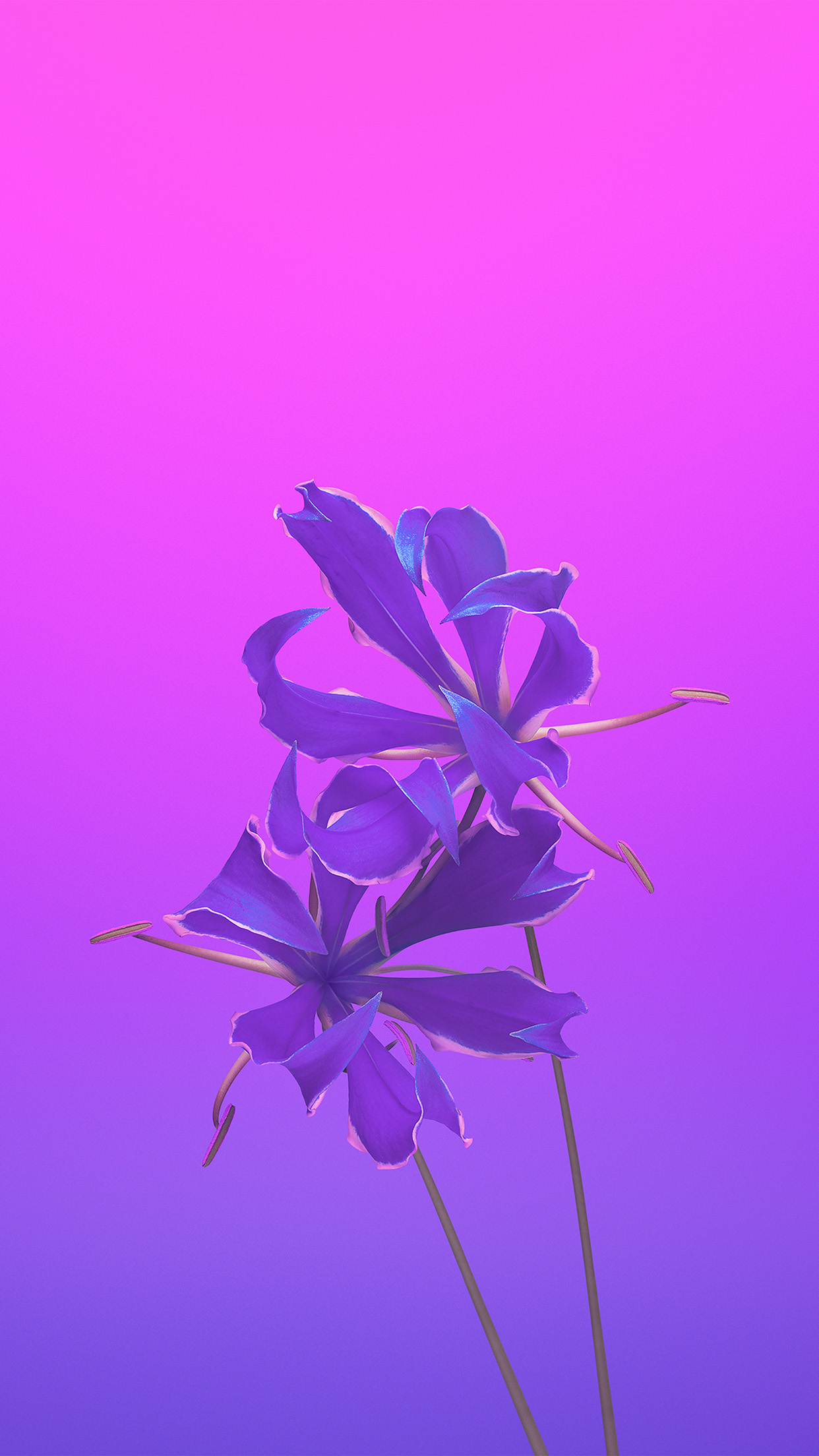 Apple Ios11 Iphonex Flower Art