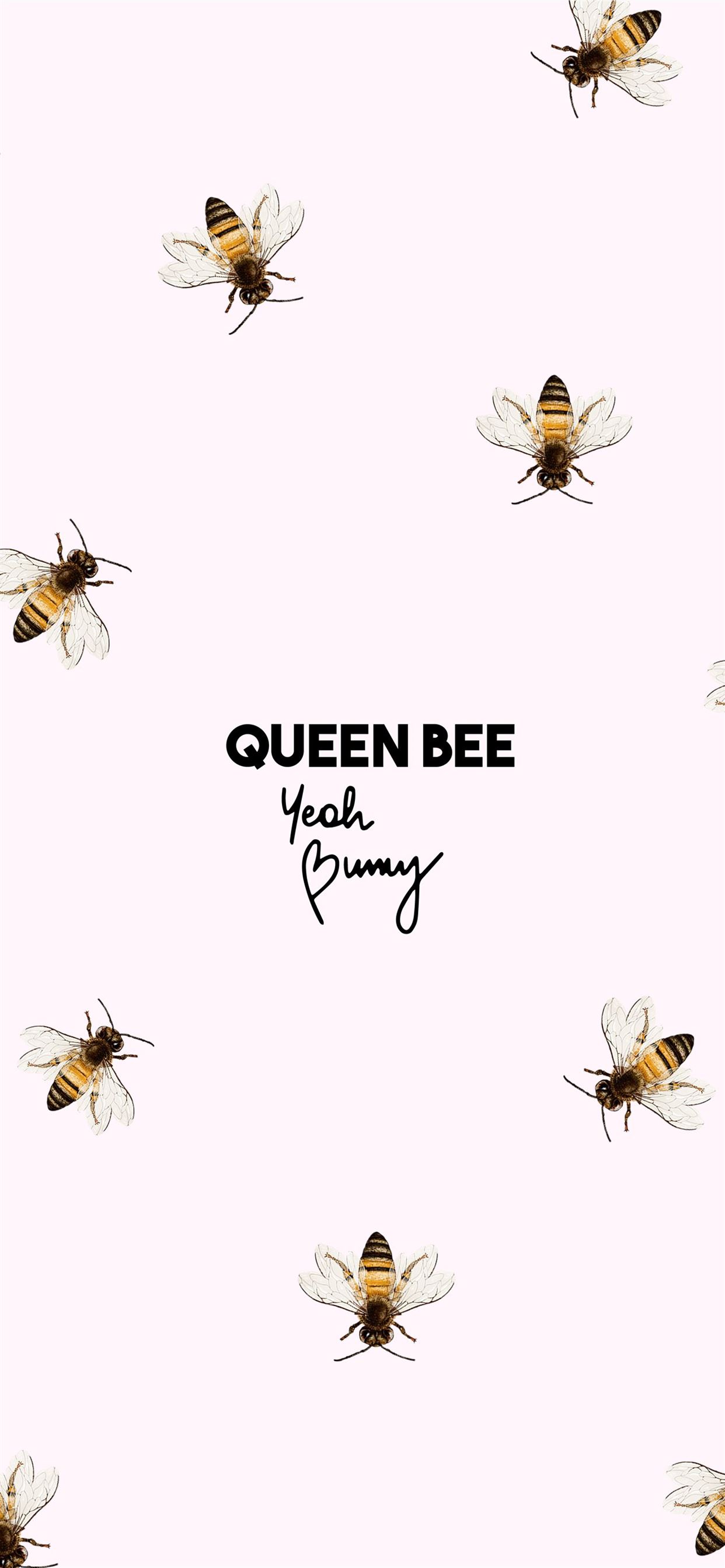 honey bee iPhone Wallpaper Free Download