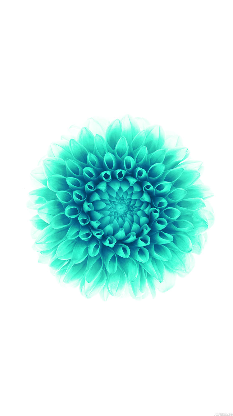 Wallpaper Apple Iphone6 Plus Ios8