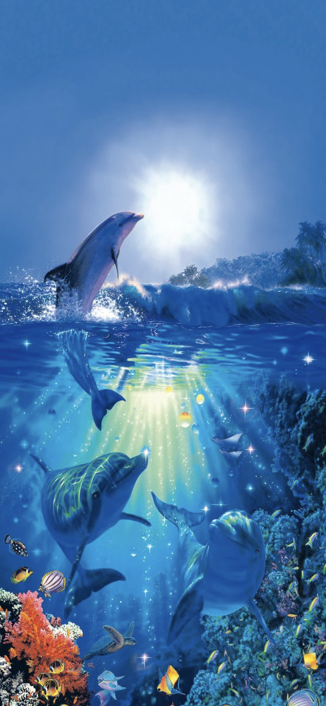wallpaper iphone x. Dolphin art