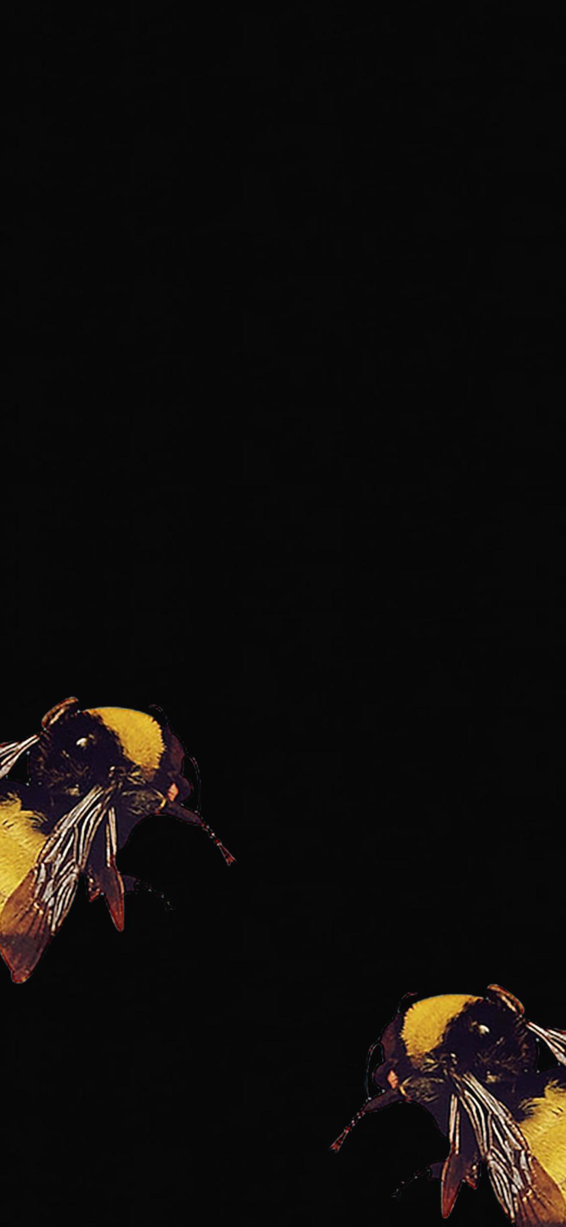 Flower Boy simple iphone background