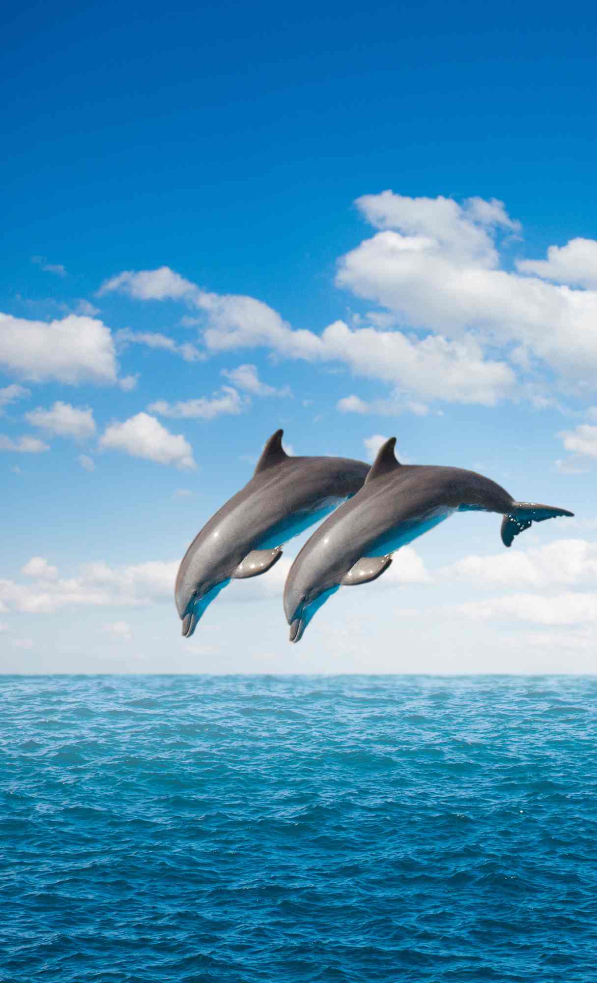 Best Ocean iPhone Wallpaper