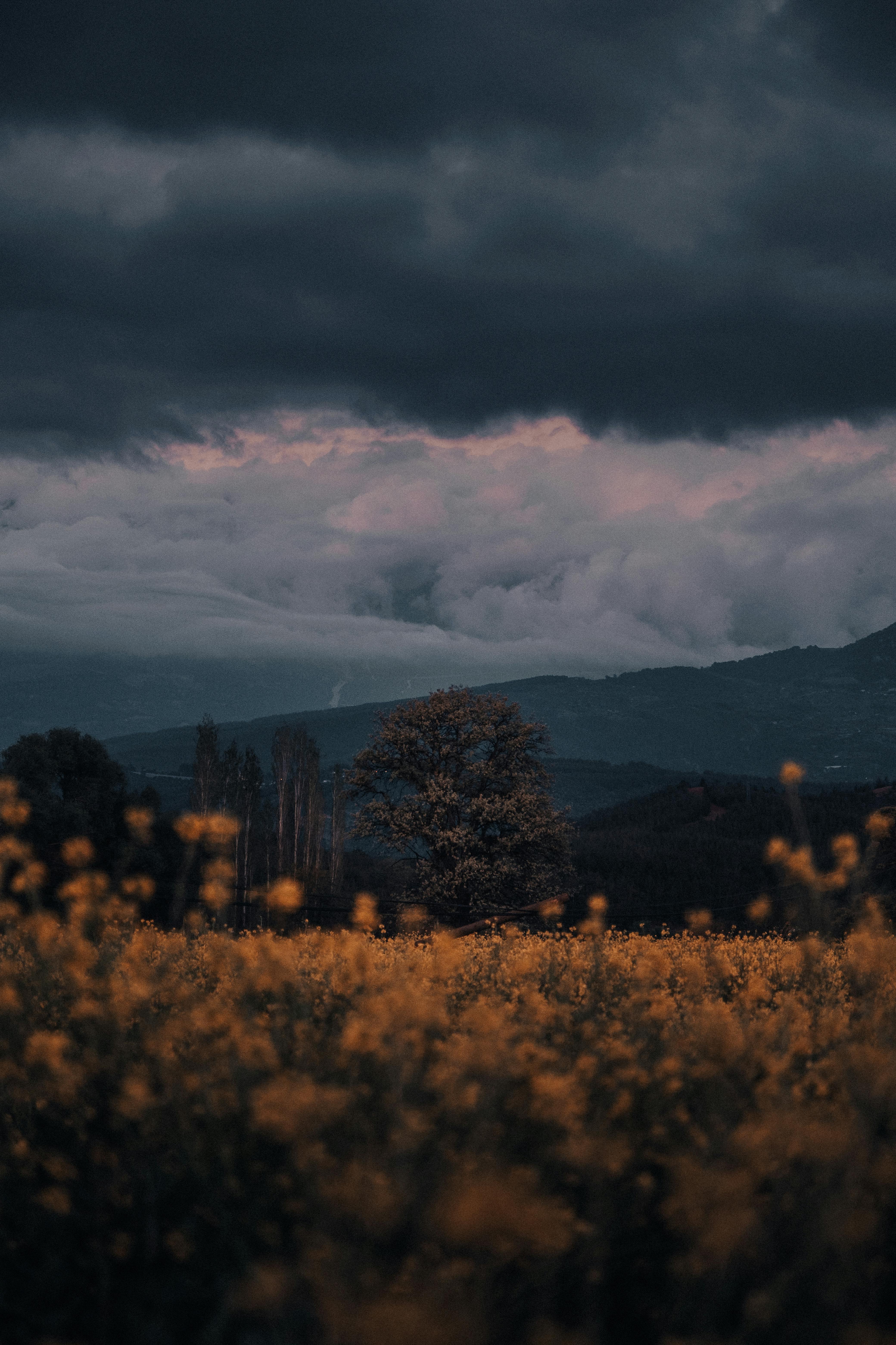 Majestic Clouds over Mountains · Free
