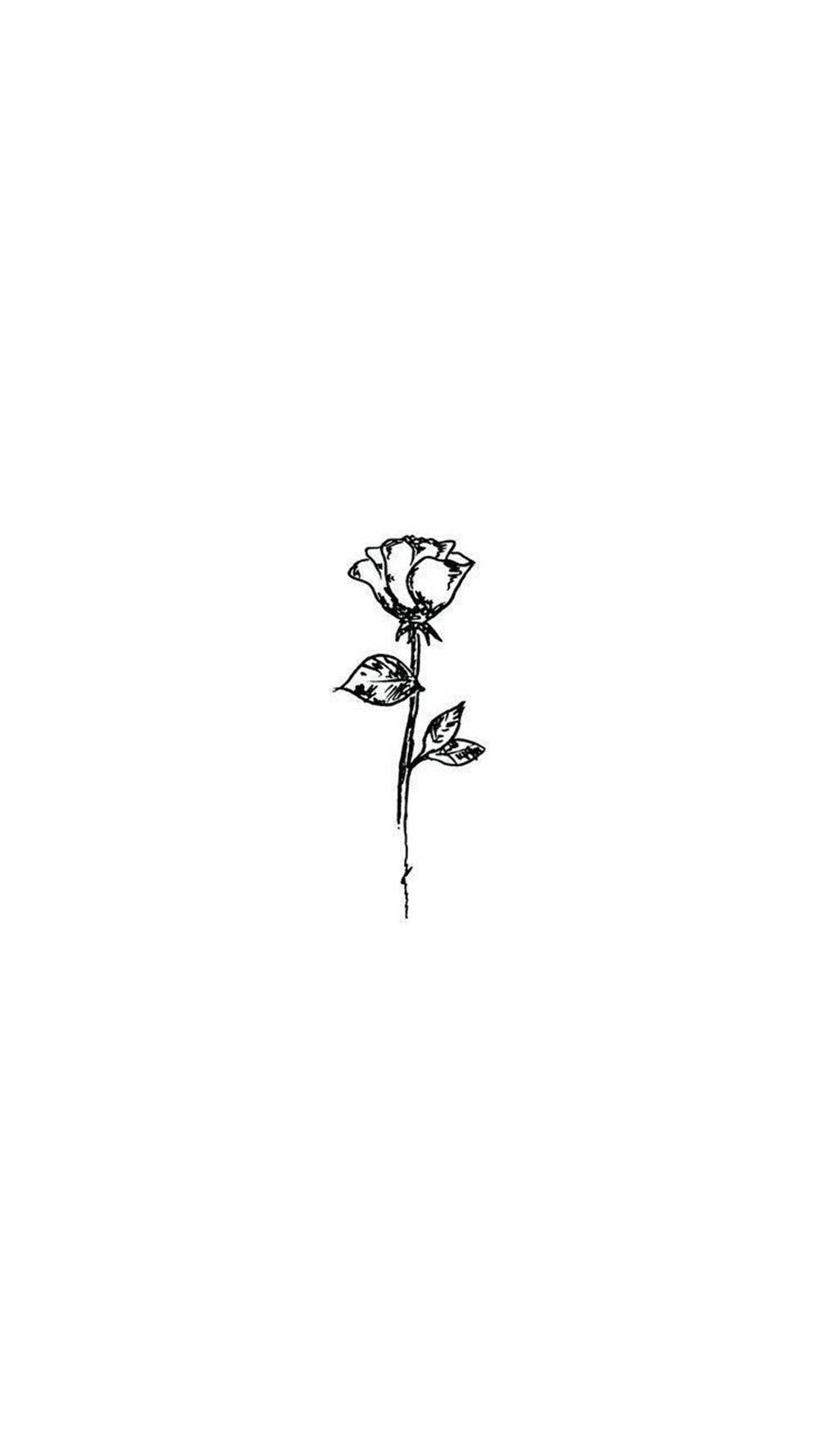 Download Minimalistic Rose White