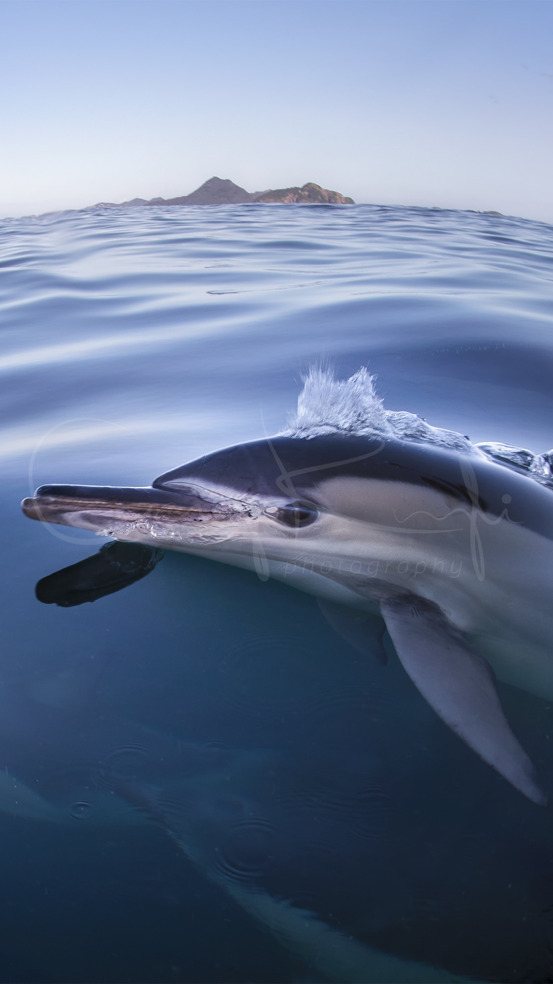 Ocean Mobile Wallpaper & Background