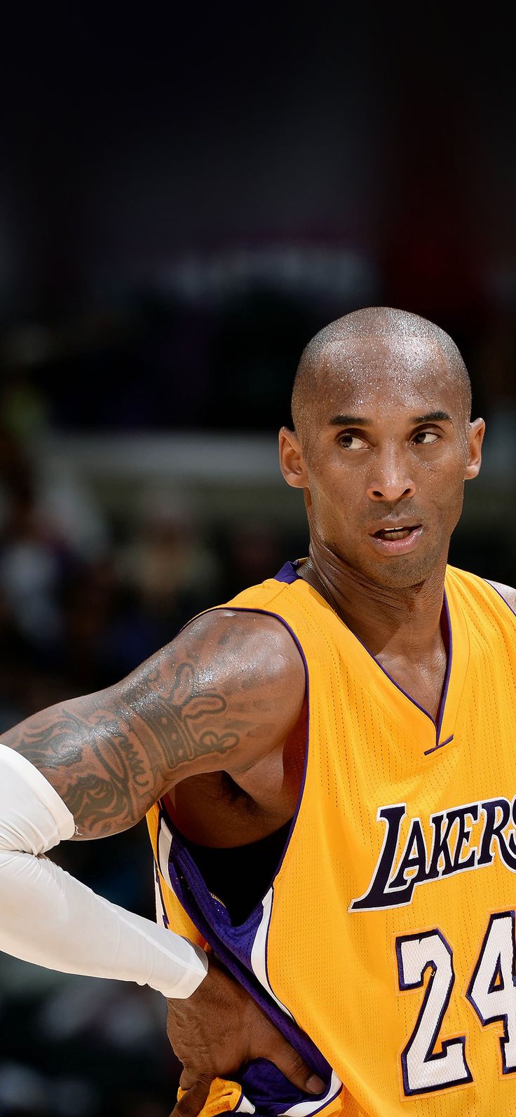 hd73 lakers kobe bryant nba basketball