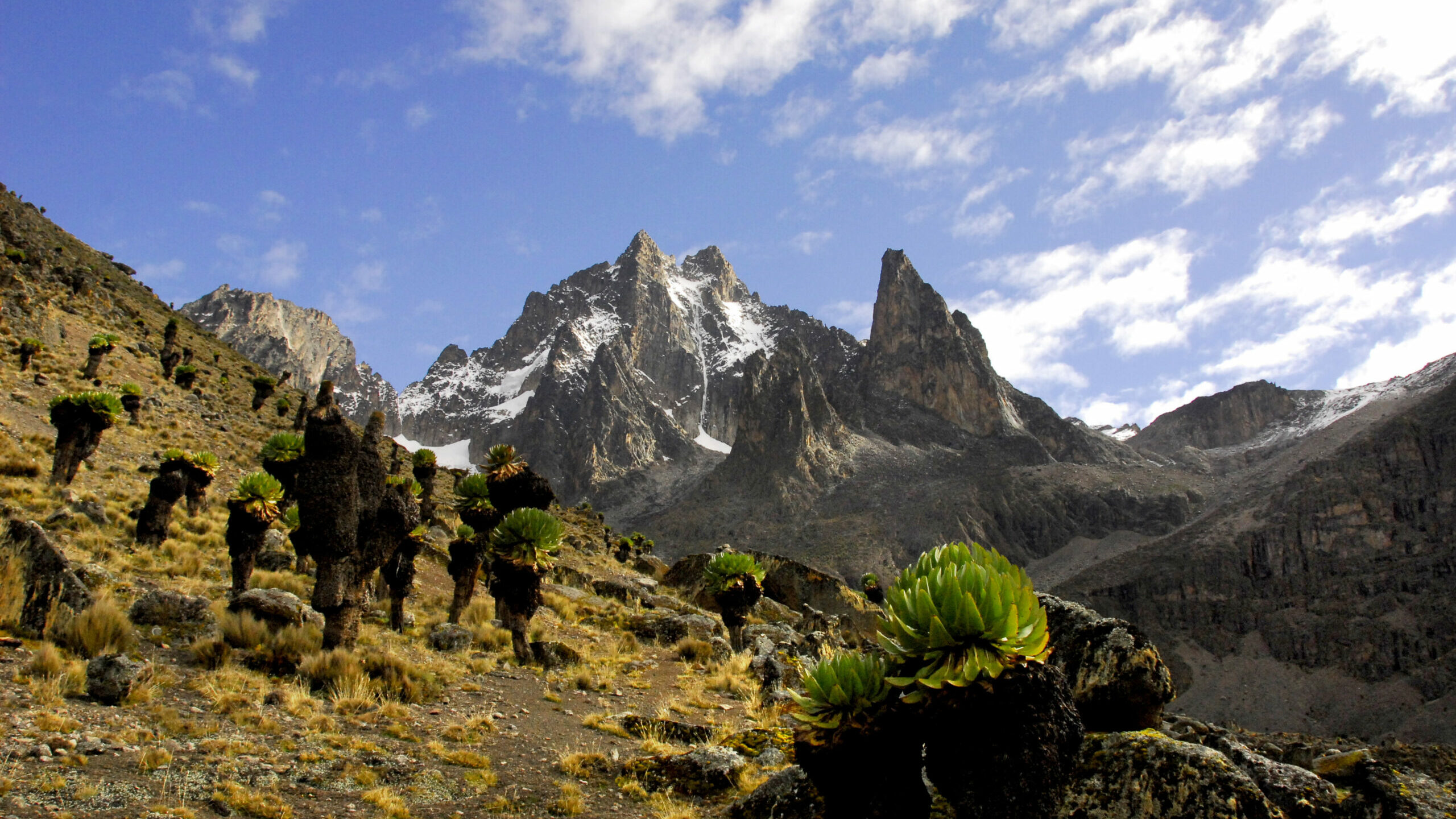 Extraordinary Climb of Mount Kenya