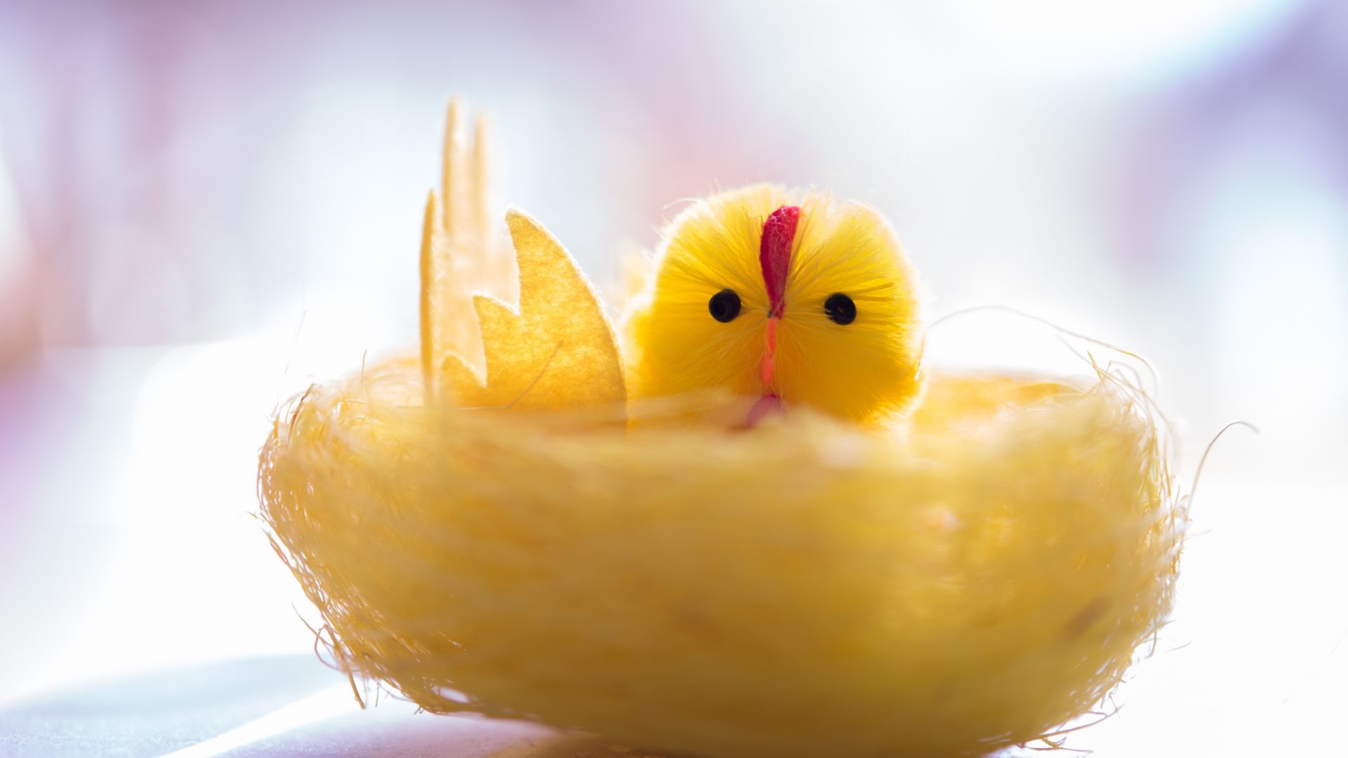 Desktop Wallpaper Yellow Chick, Toy
