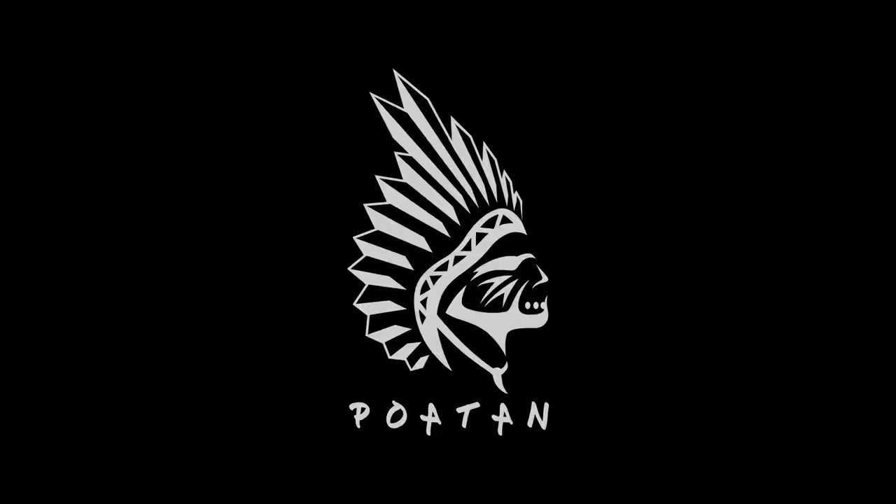 Alex Poatan Pereira plans