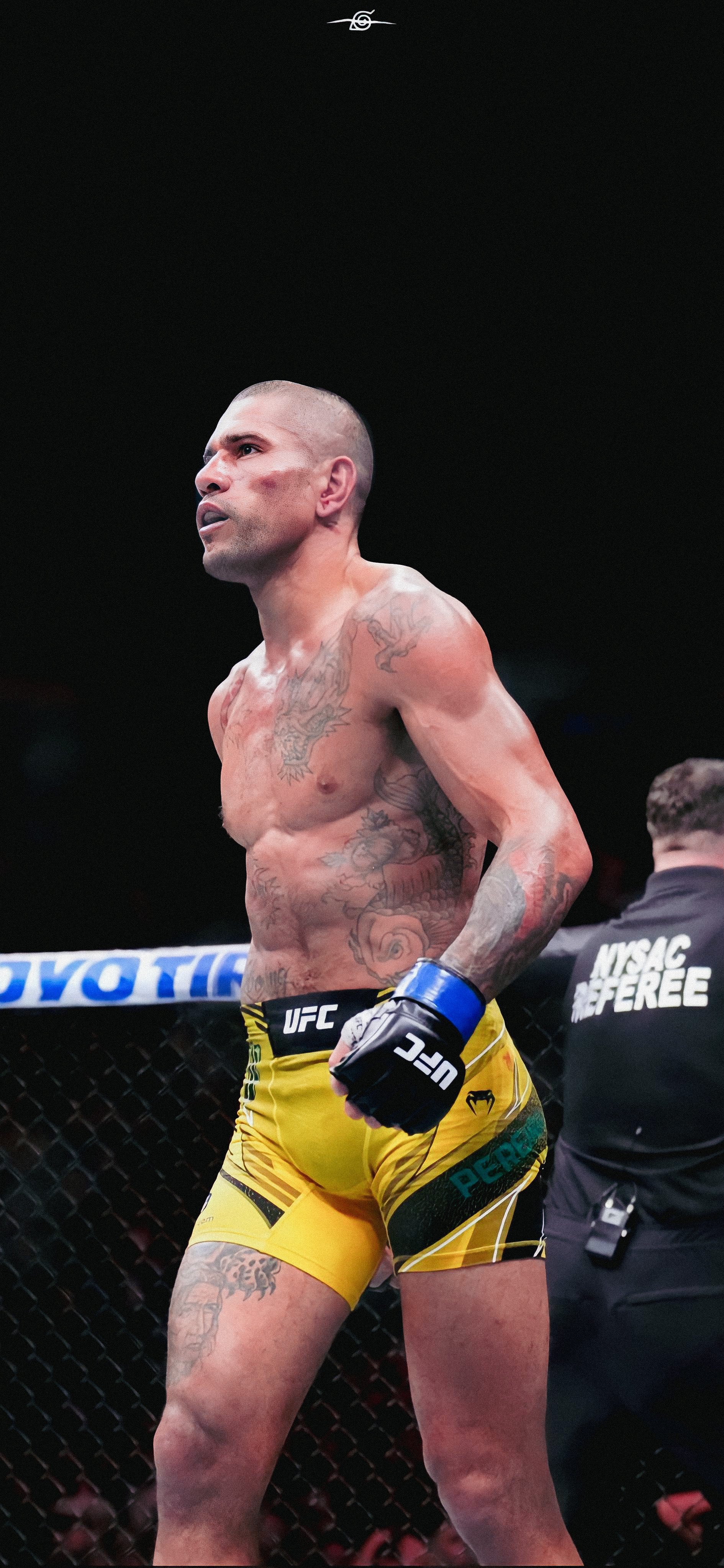 Wallpaper Pereira - #UFC281