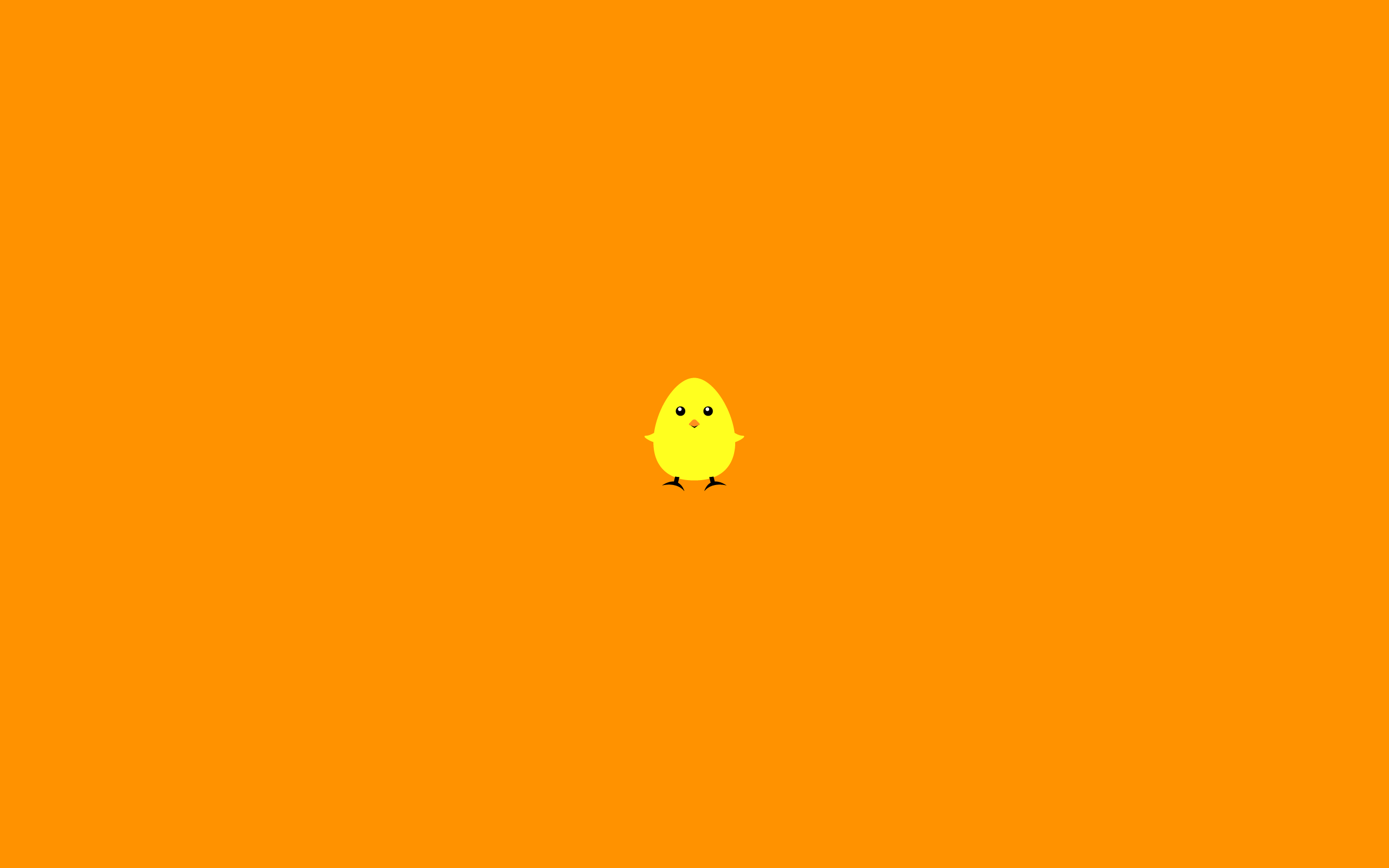 Yellow chicken, orange background