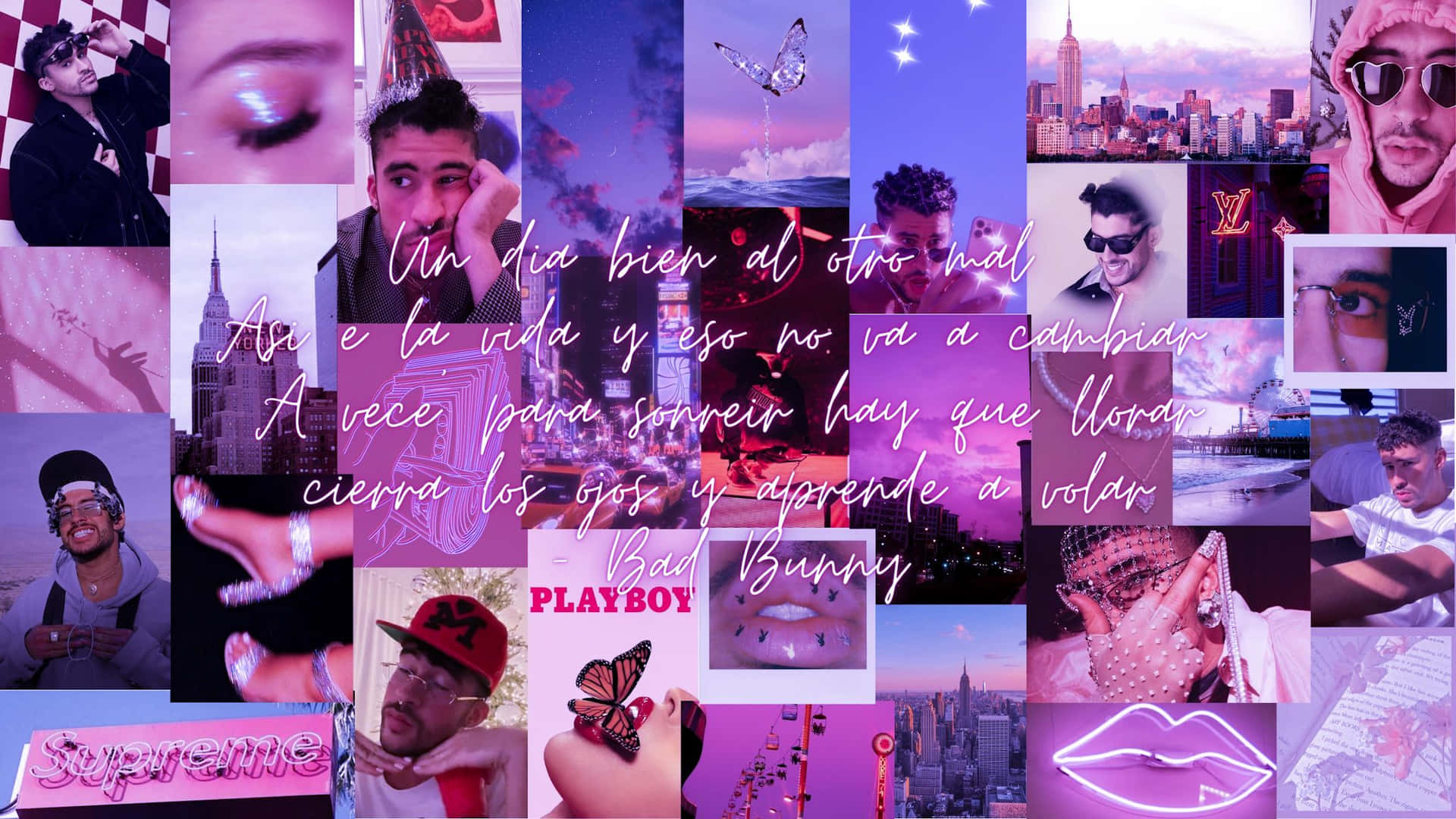 Bad Bunny paints the perfect picture