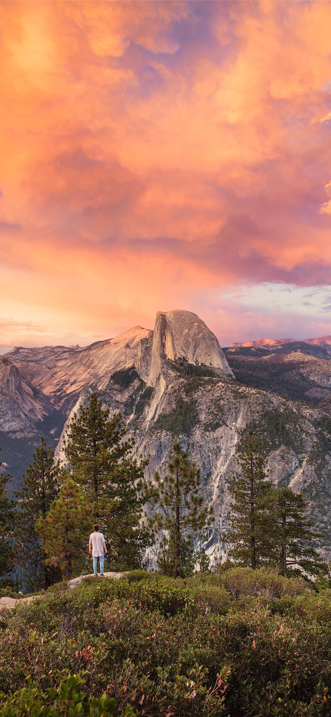 green mountain iPhone X Wallpaper