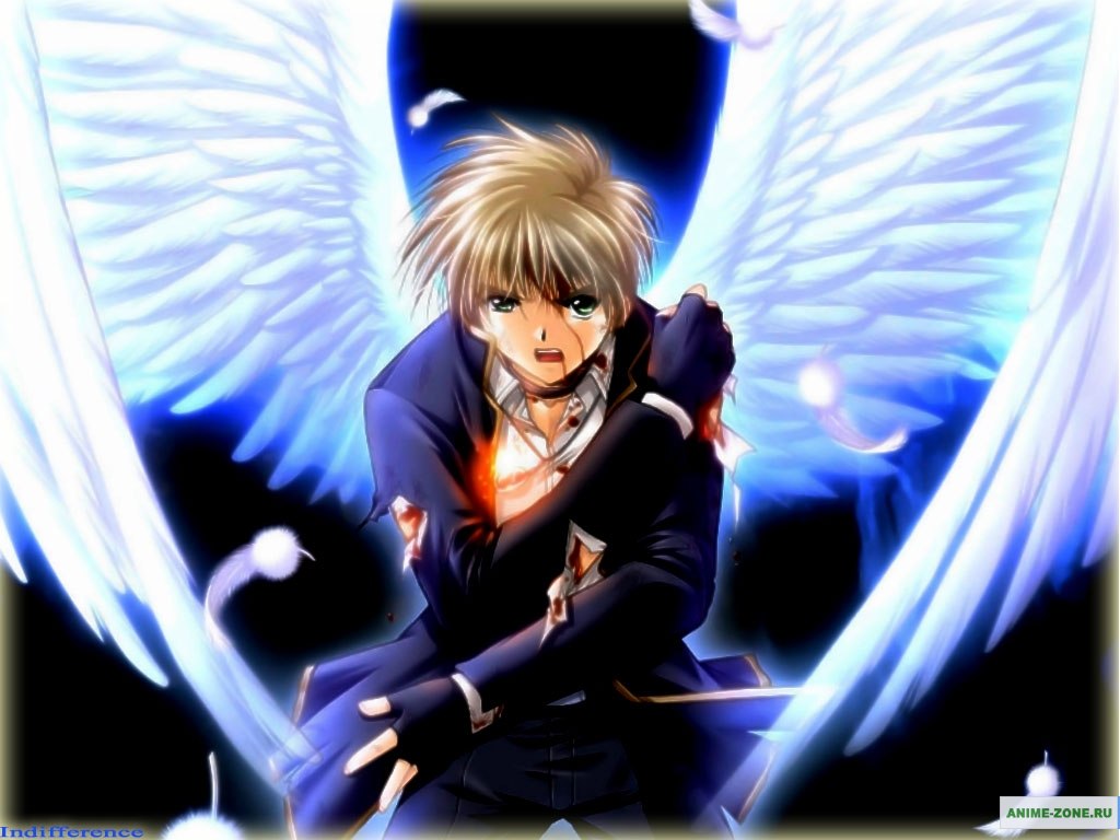 Desktop Wallpaper Angel's Feather Anime