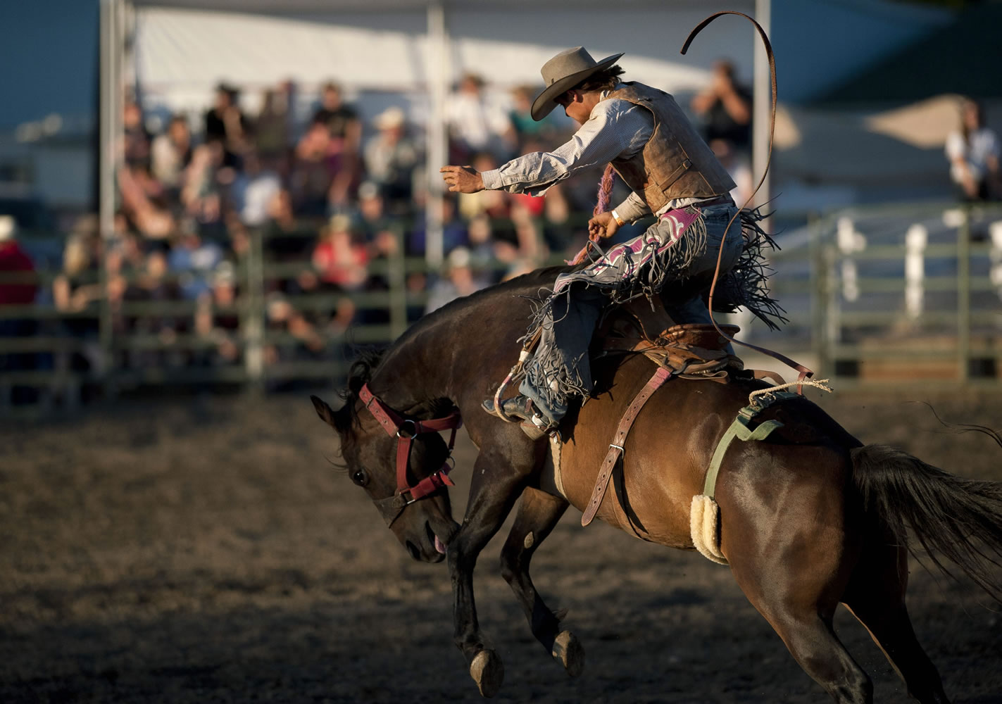 Rodeo clown wins grins