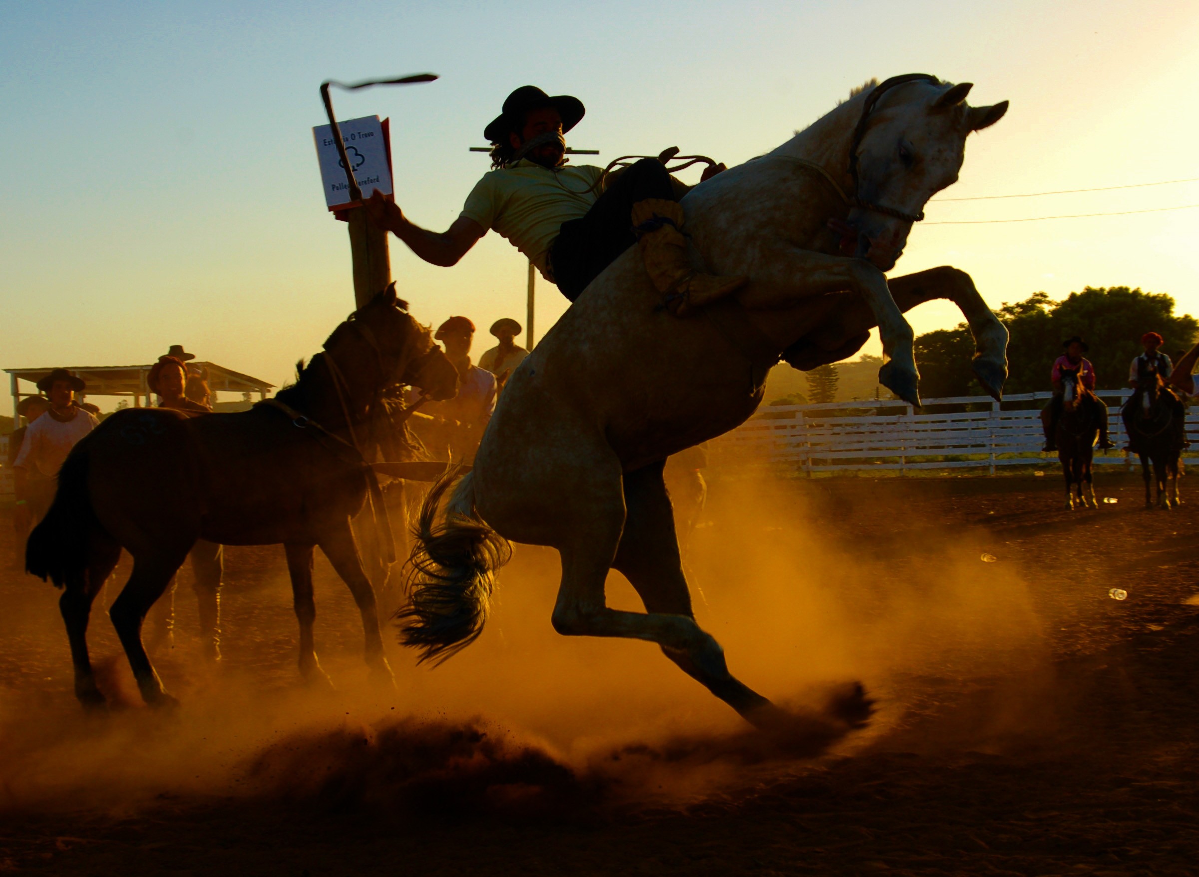 Sports Rodeo HD Wallpaper