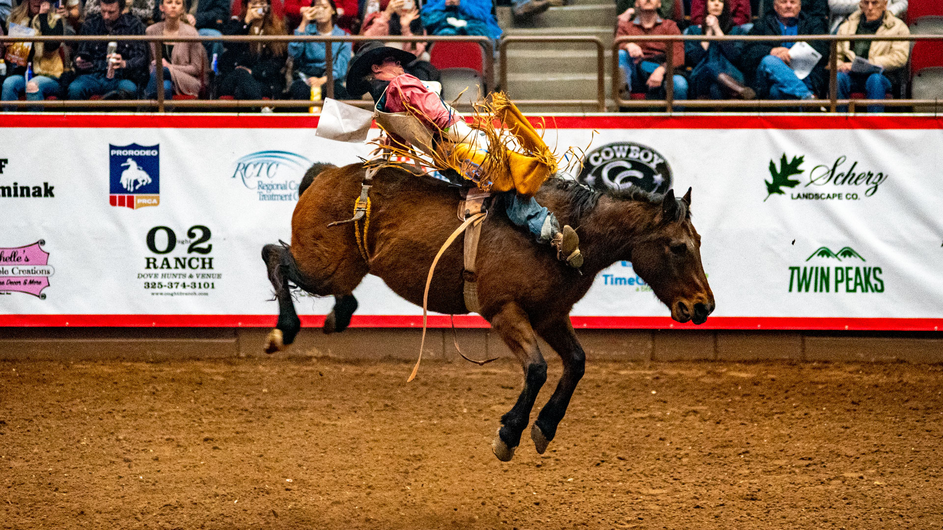 San Angelo Rodeo: Saddle Bronc Riding
