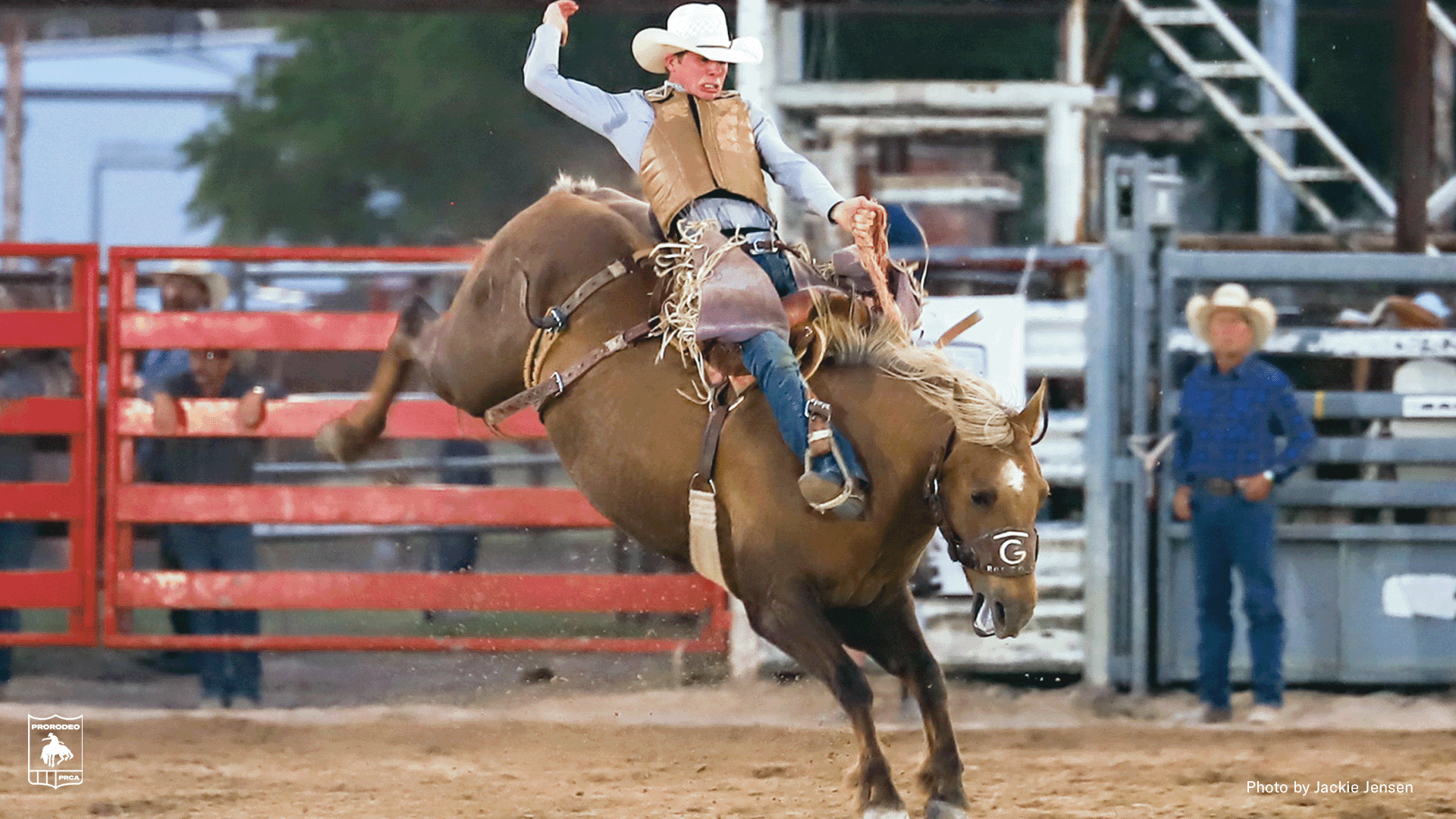 Saddle Bronc Rider Will Pollock Snares