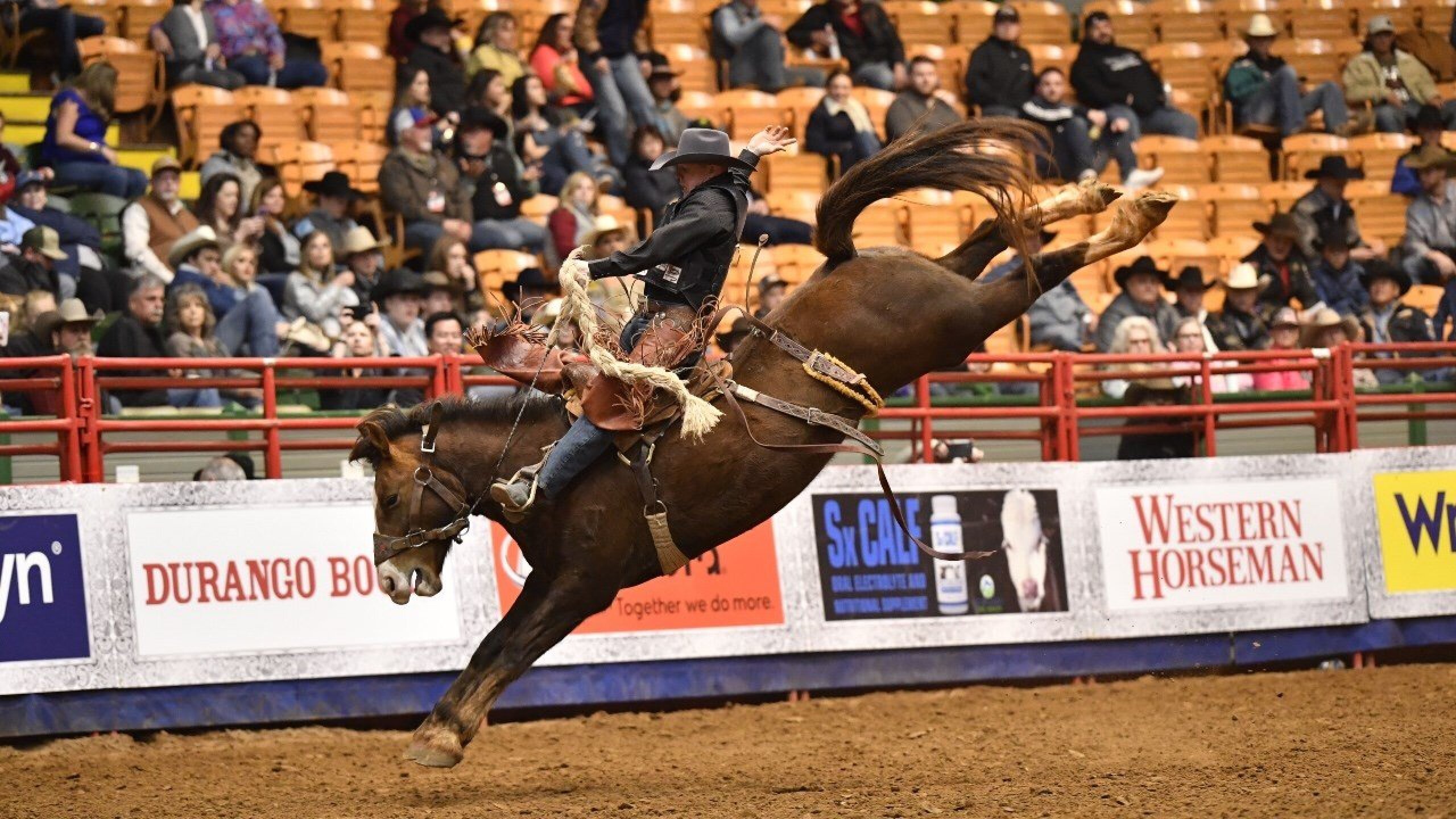 Wild Wednesday Saddle Bronc Photo