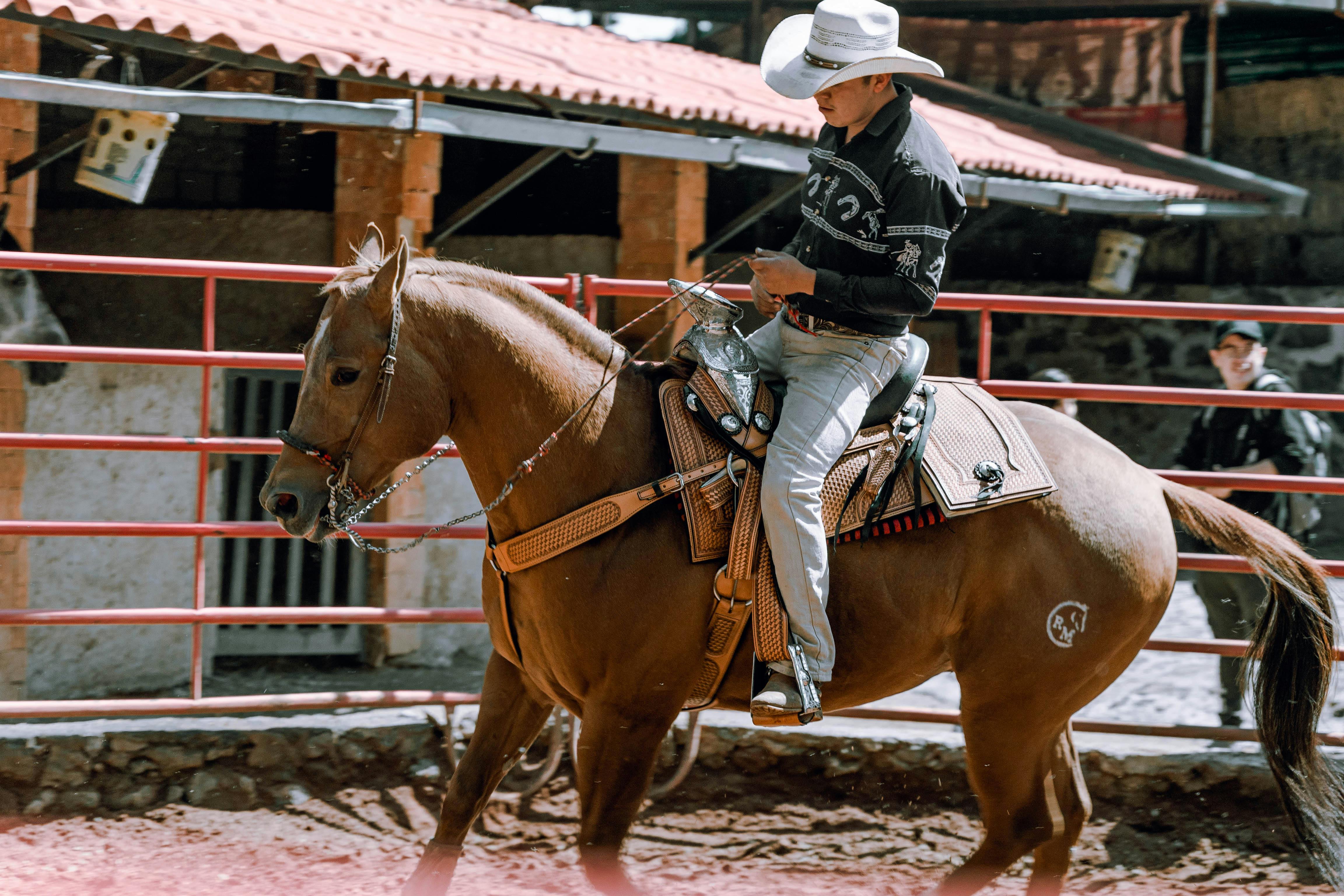 Rodeo Photo, Download The BEST Free