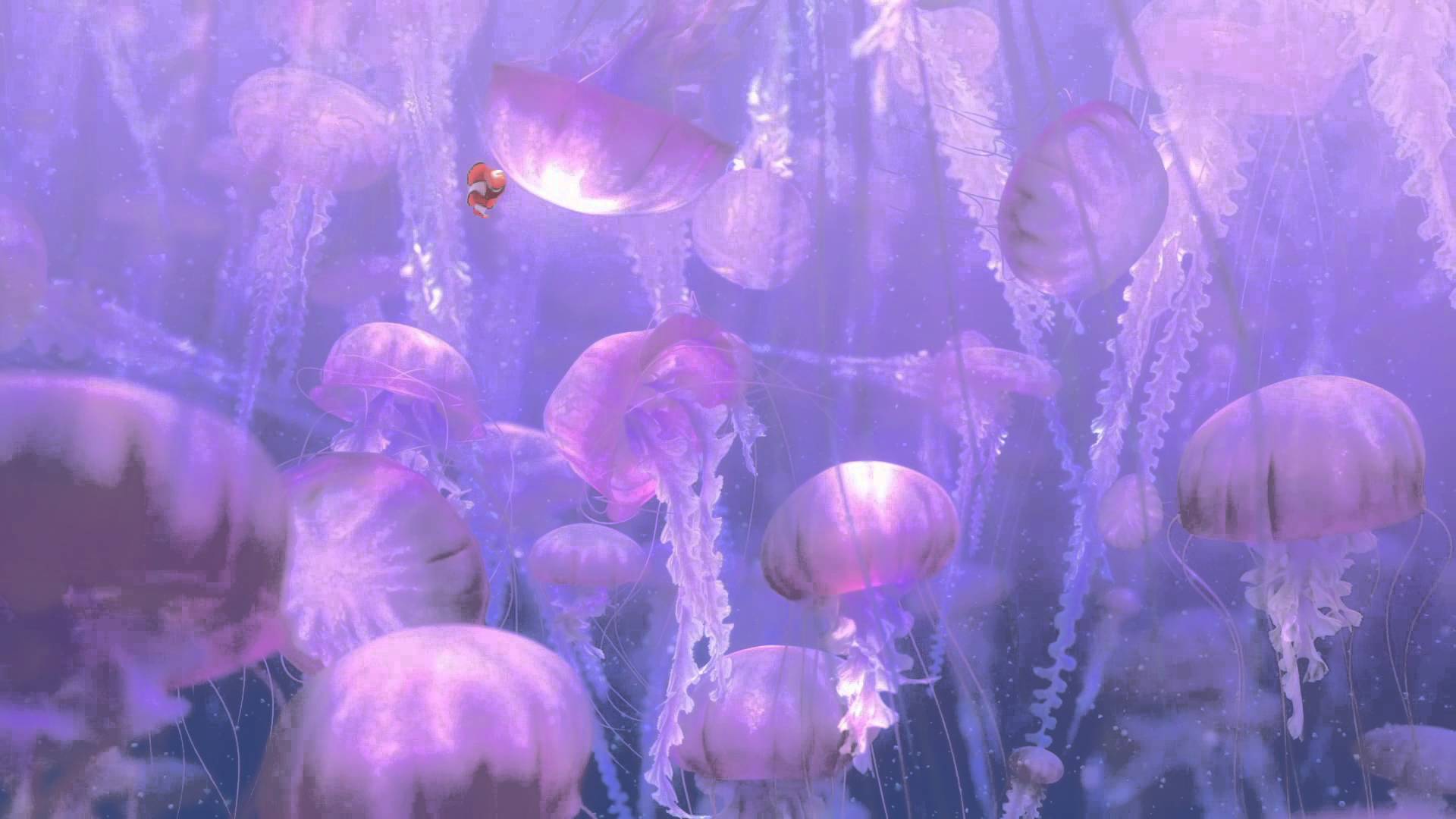 HD desktop wallpaper: Jellyfish, Fishes