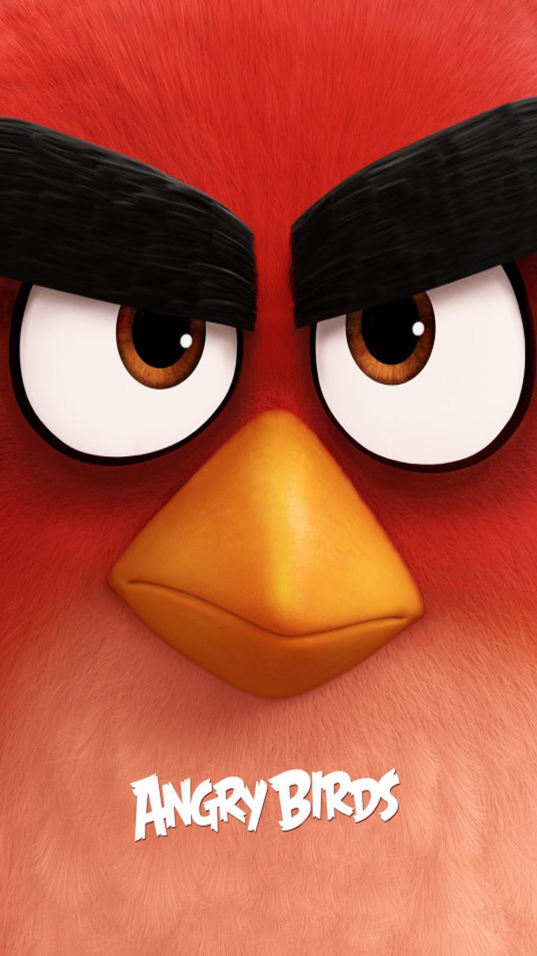 Angry Bird Wallpaper