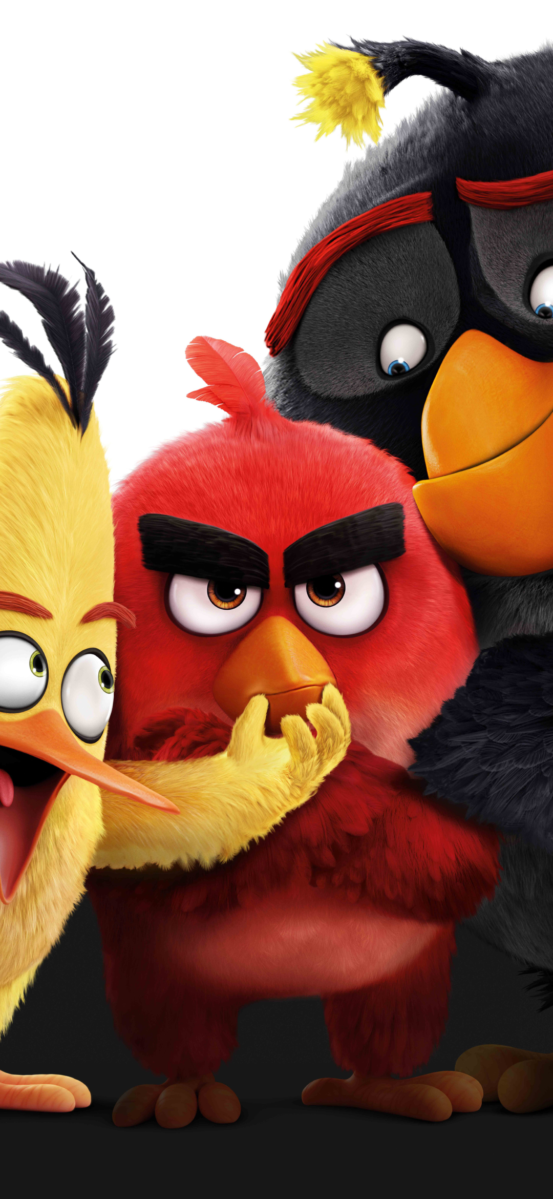 Chuck, Red and Bomb