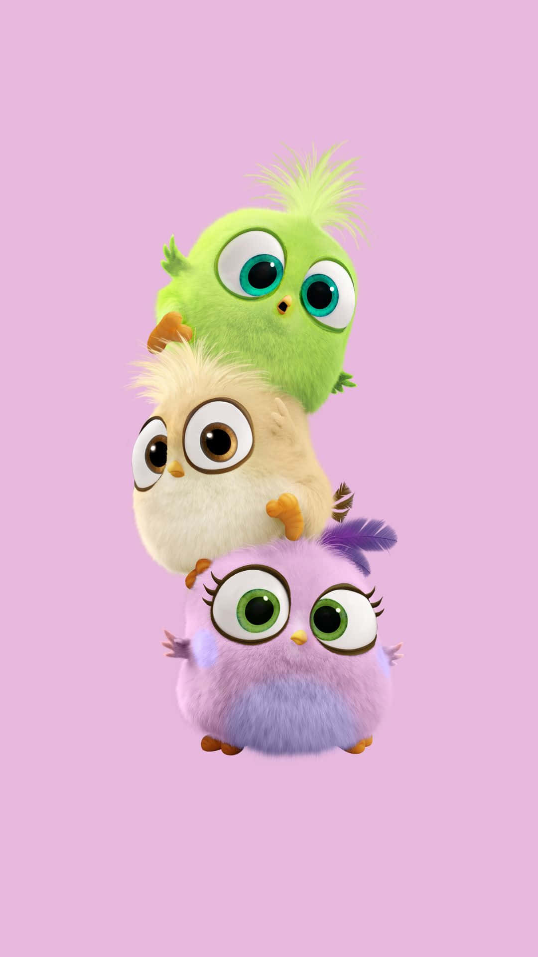 Download Angry Birds Wallpaper, Angry