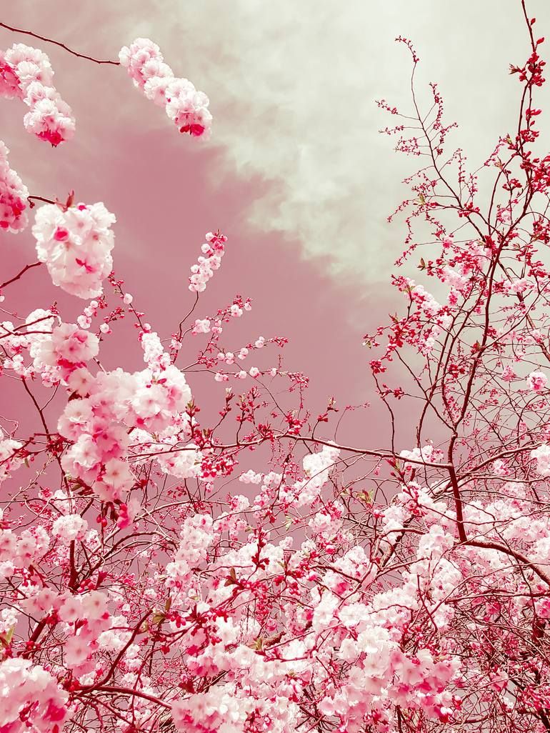 Spring wallpaper, Pink wallpaper