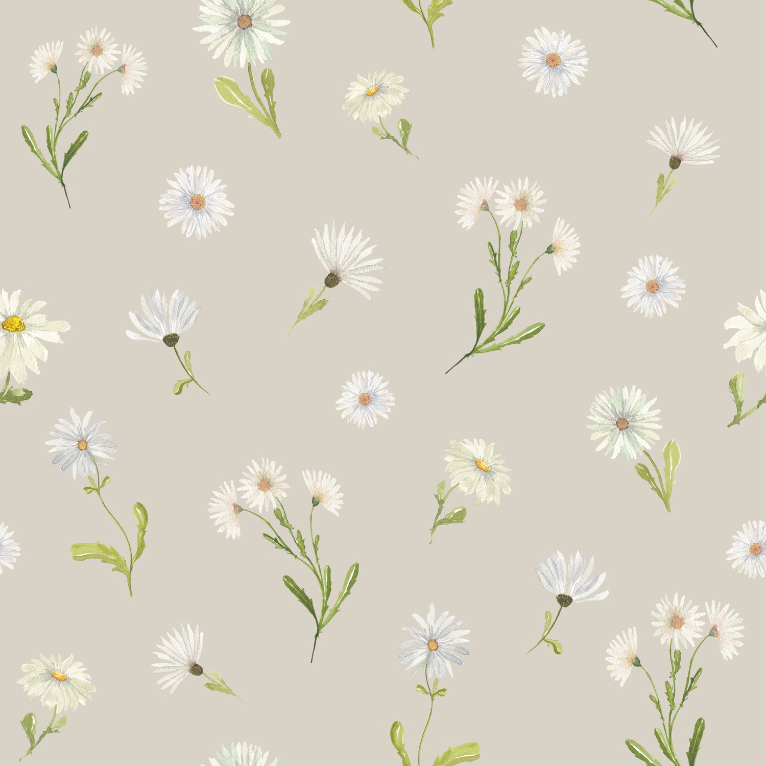 Daisies