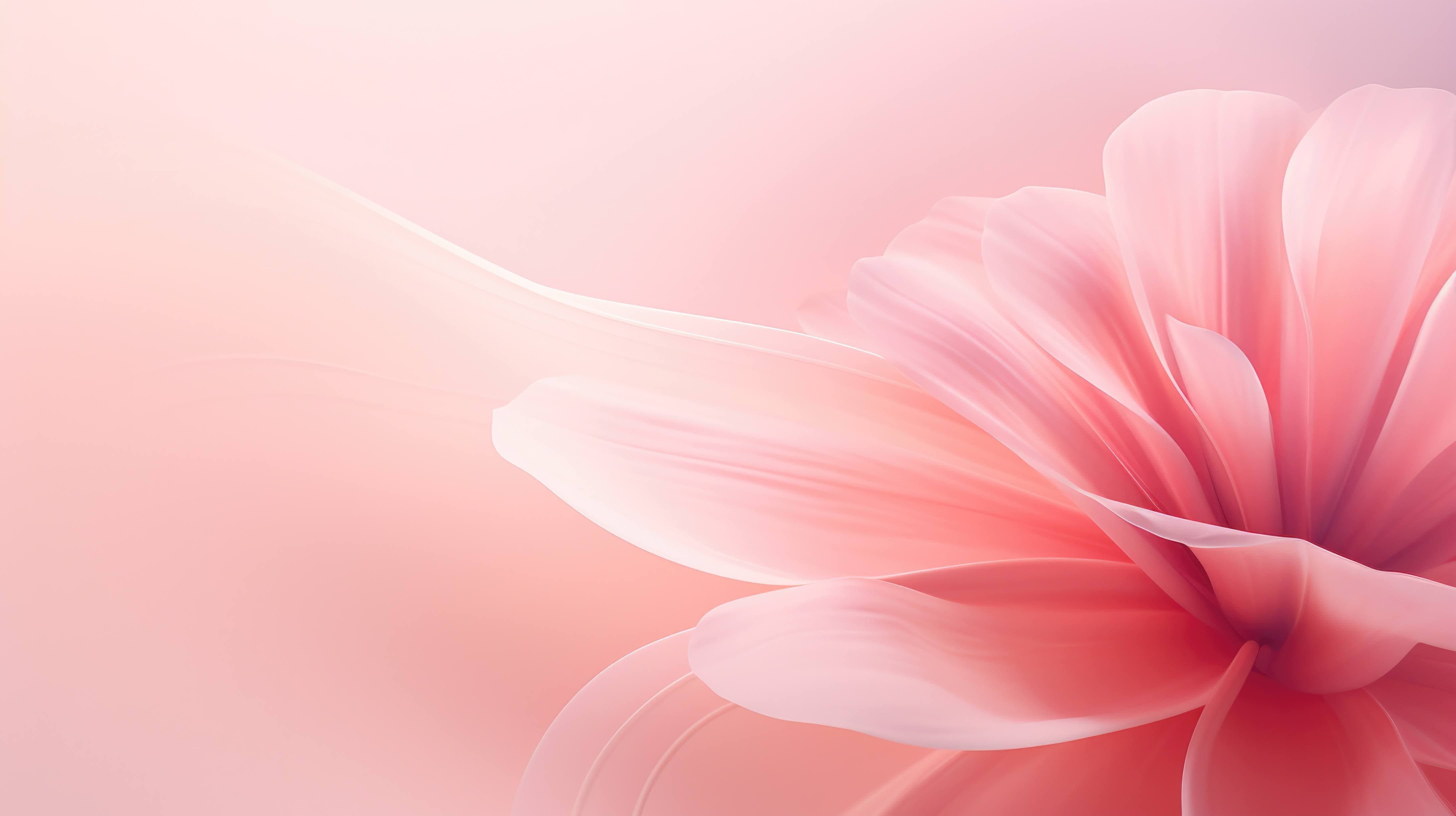 Light Pink Flowers Spring Wallpapers - Wallpaper Cave